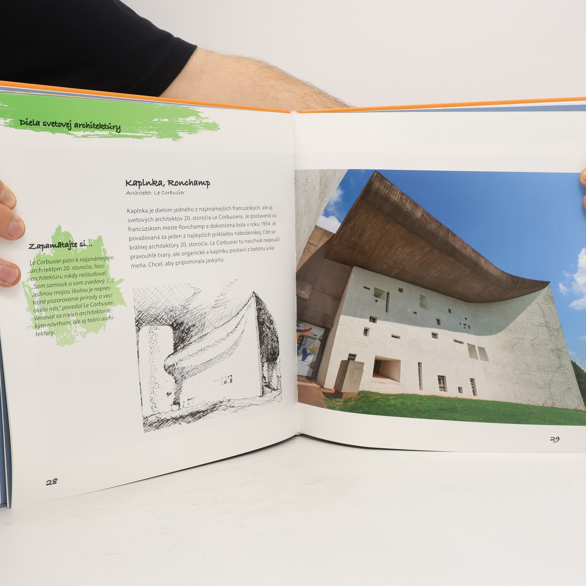 Darina Lalíková Ikony architektúry : ...čo by deti mali vedieť o slovenskej a svetovej architektúre