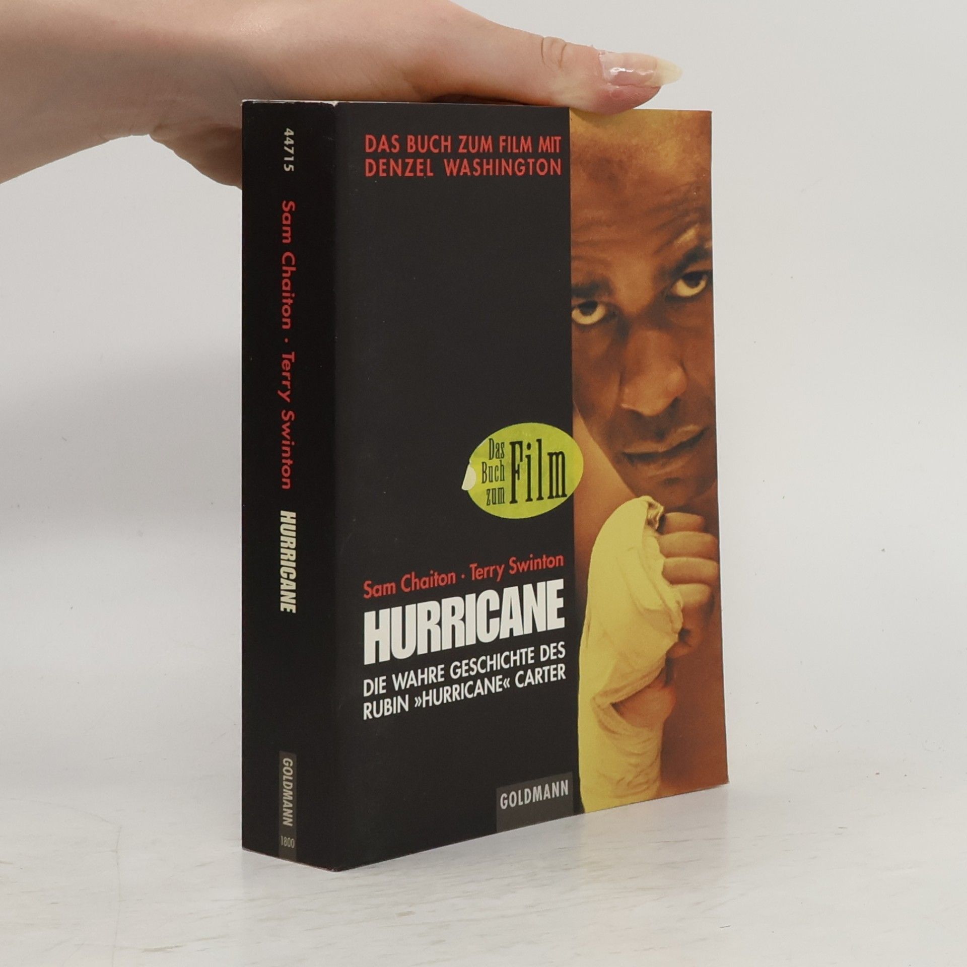 Terry Swinton Hurricane