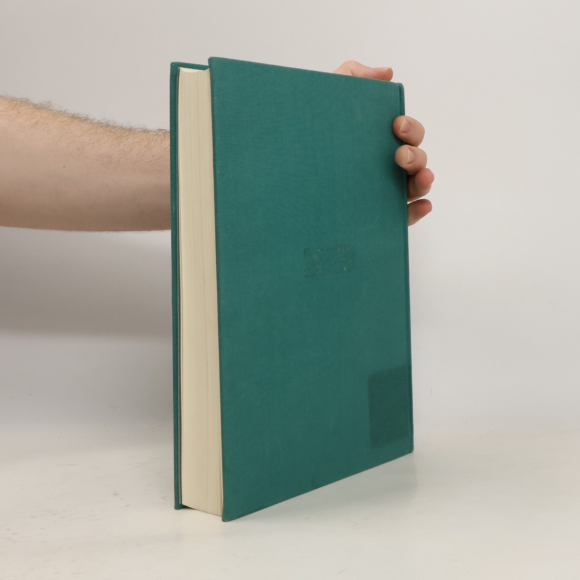 Eleanor Winsor Leach The Rhetoric of Space