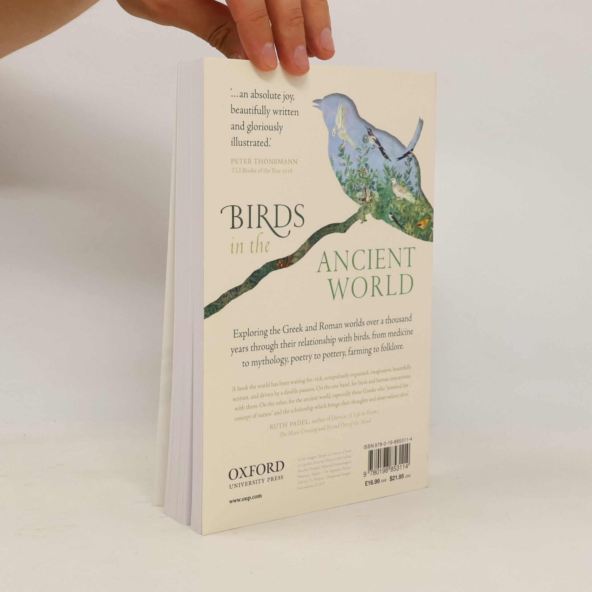 Jeremy Mynott Birds in the Ancient World