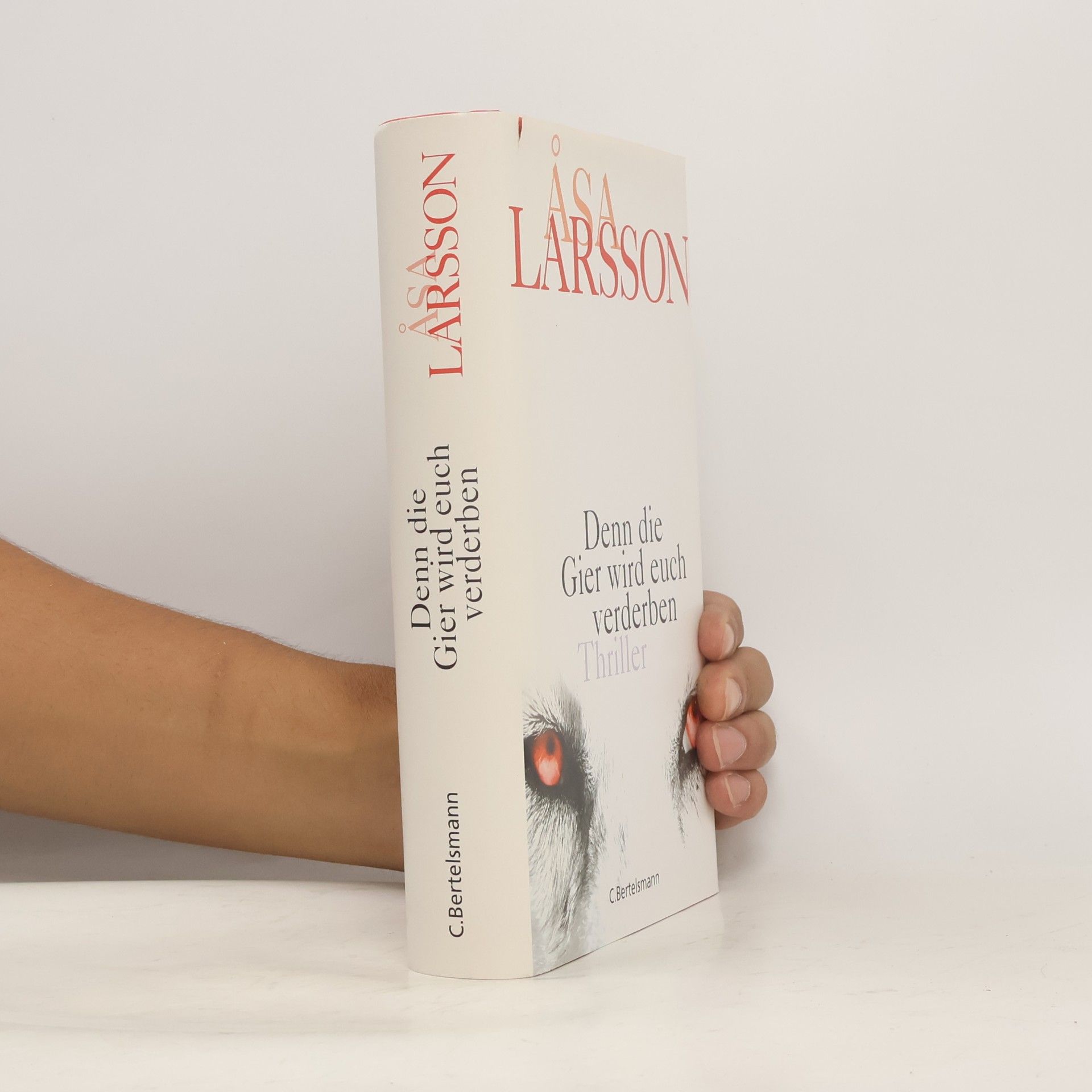 Åsa Larsson Denn die Gier wird euch verderben