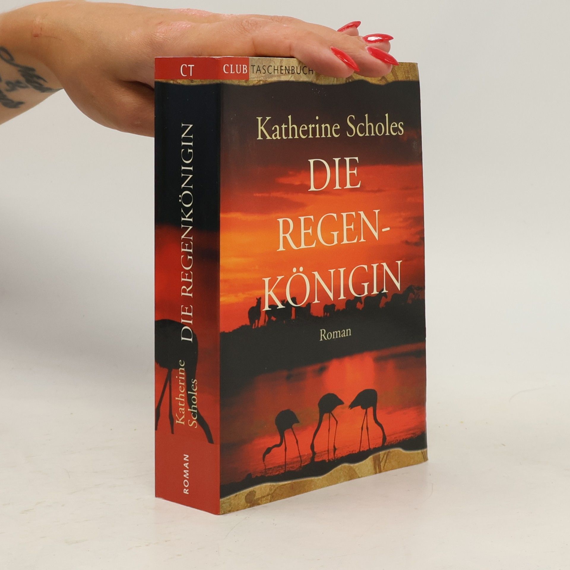 Katherine Scholes Die Regenkönigin