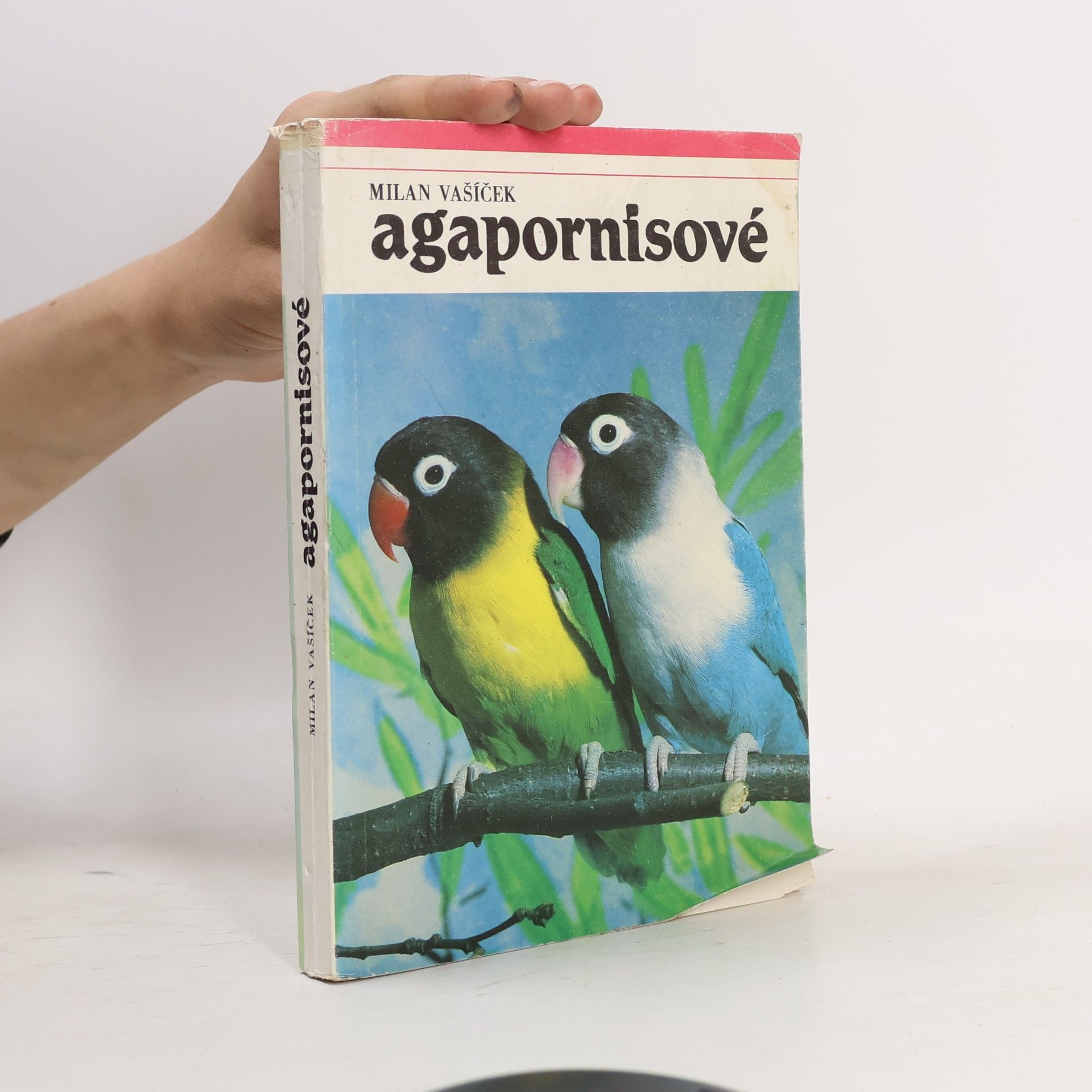 Rudolf Vít Agapornisové