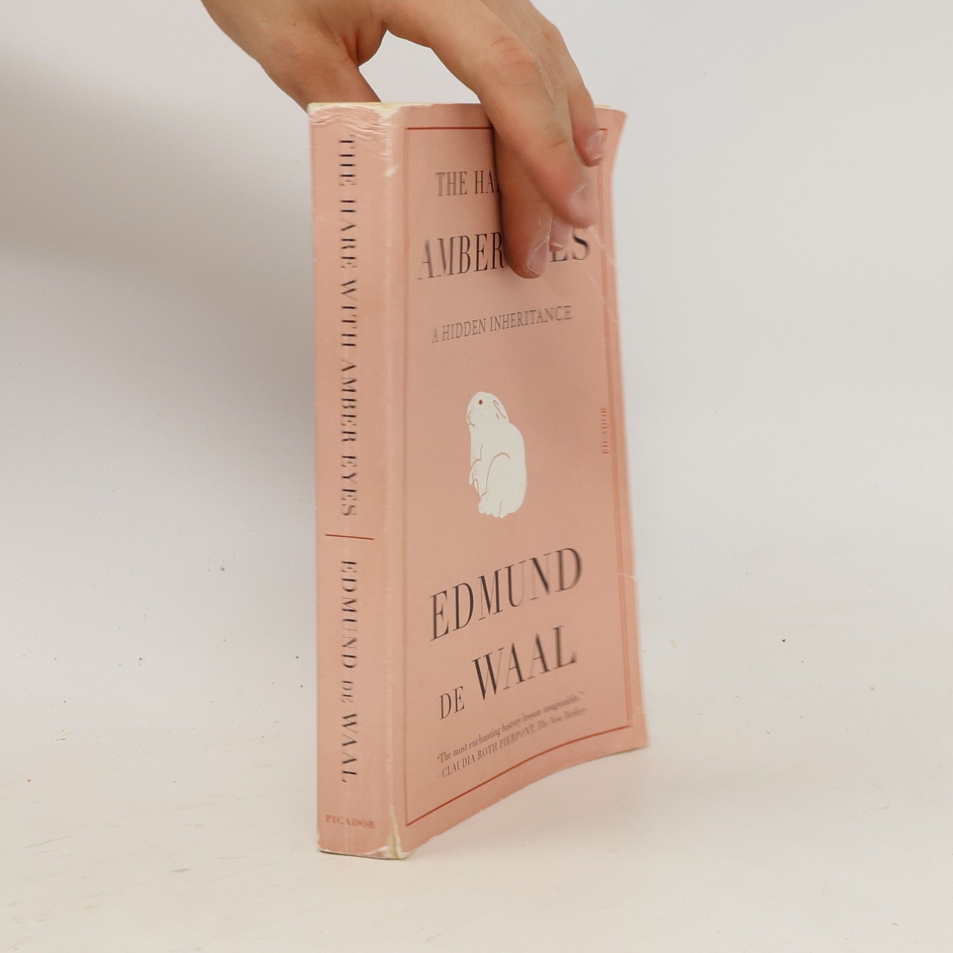 Edmund De Waal The Hare with Amber Eyes