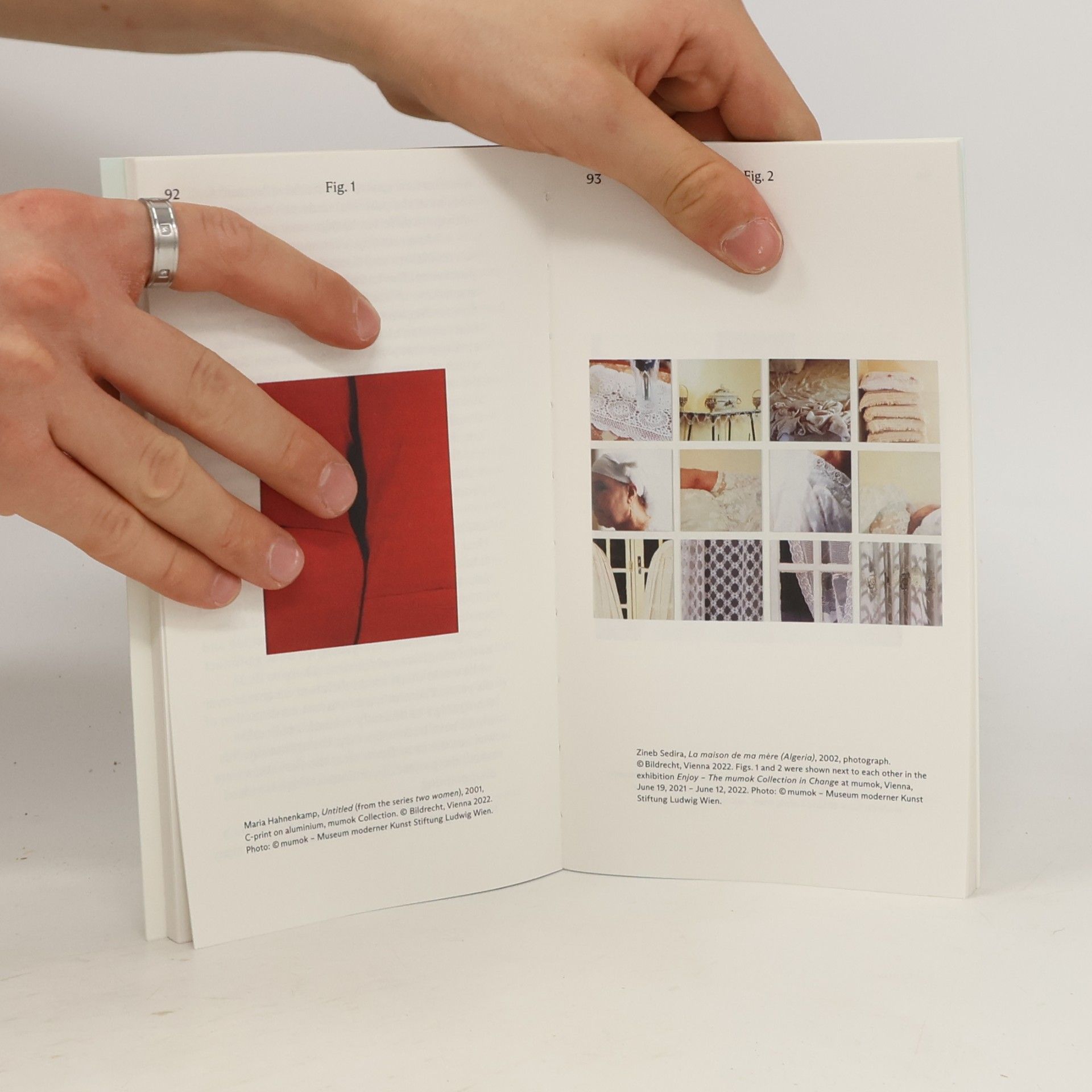Max Hollein Aesthetics, Ethics, Identity-Museum of the 21st Century