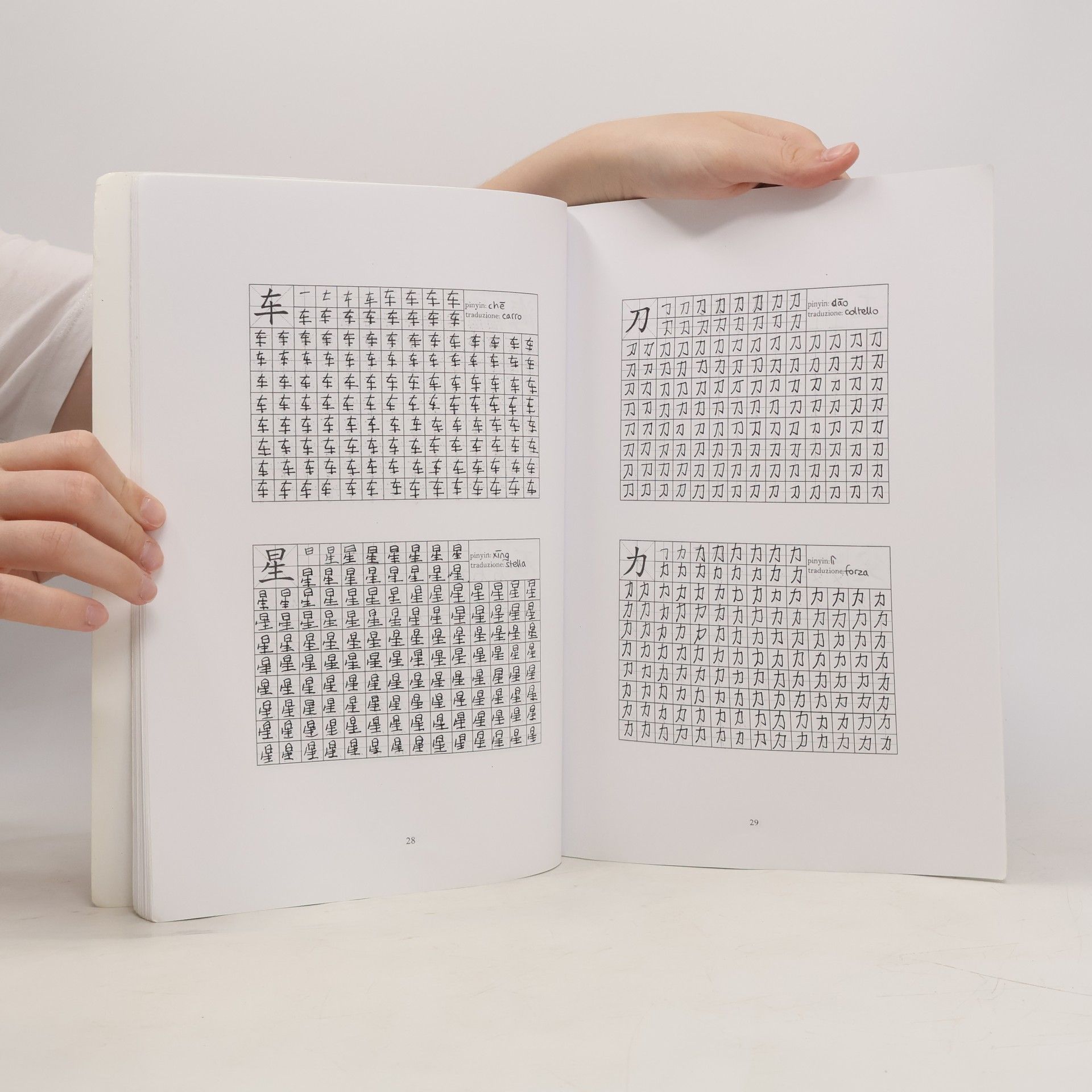Jin Zhigang Caratteri cinesi. Esercizi di scrittura