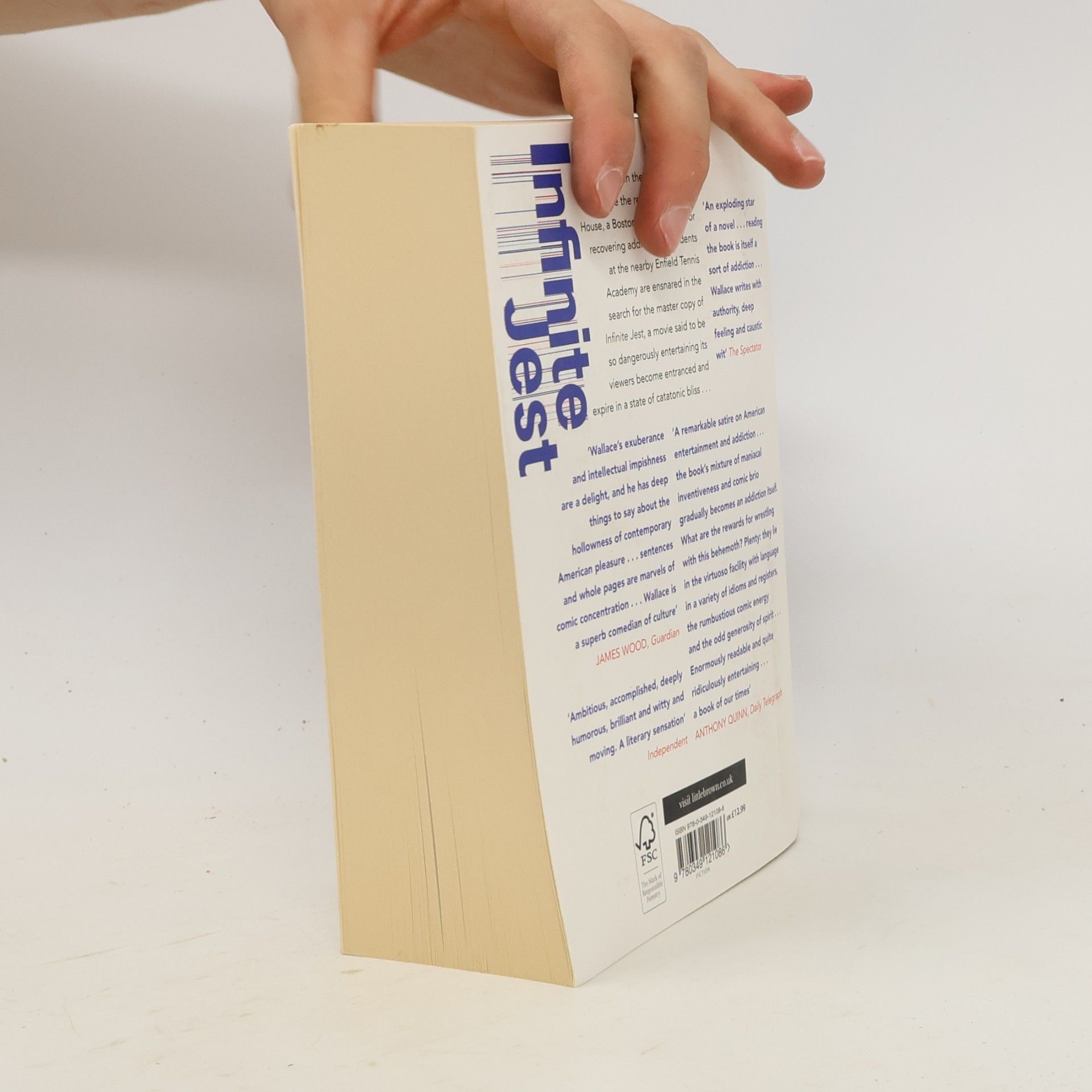 David Foster Wallace Infinite Jest