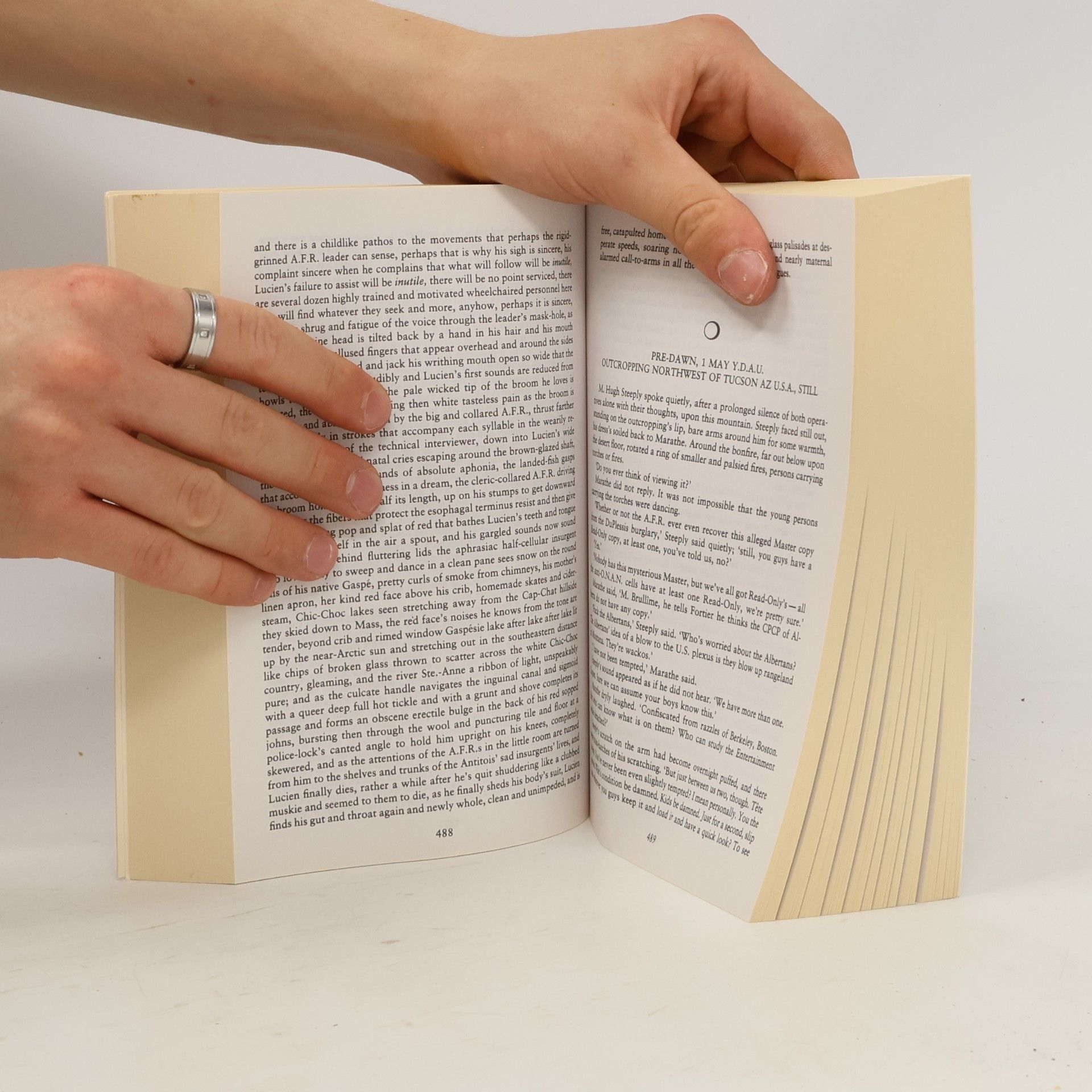 David Foster Wallace Infinite Jest