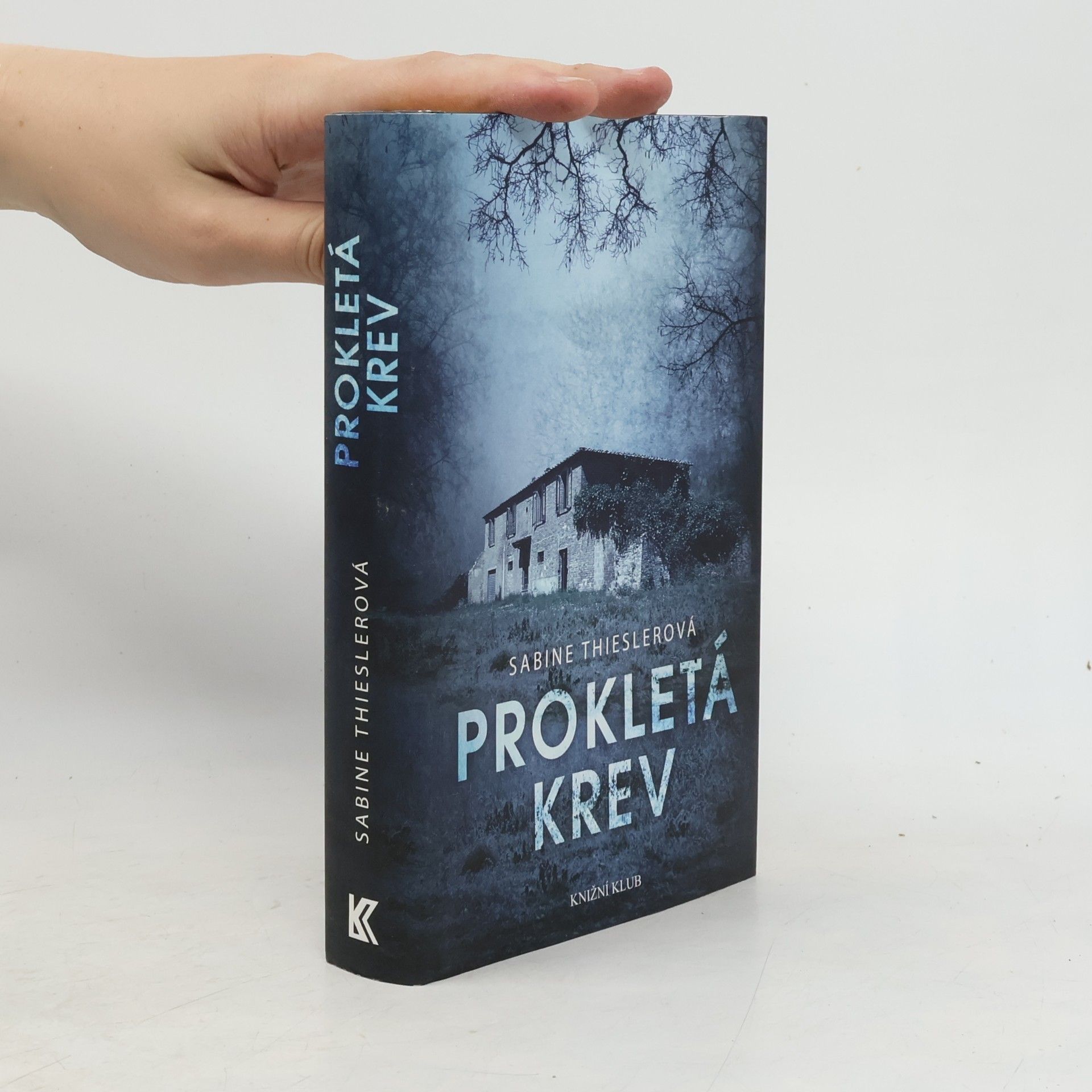 Sabine Thiesler Prokletá krev