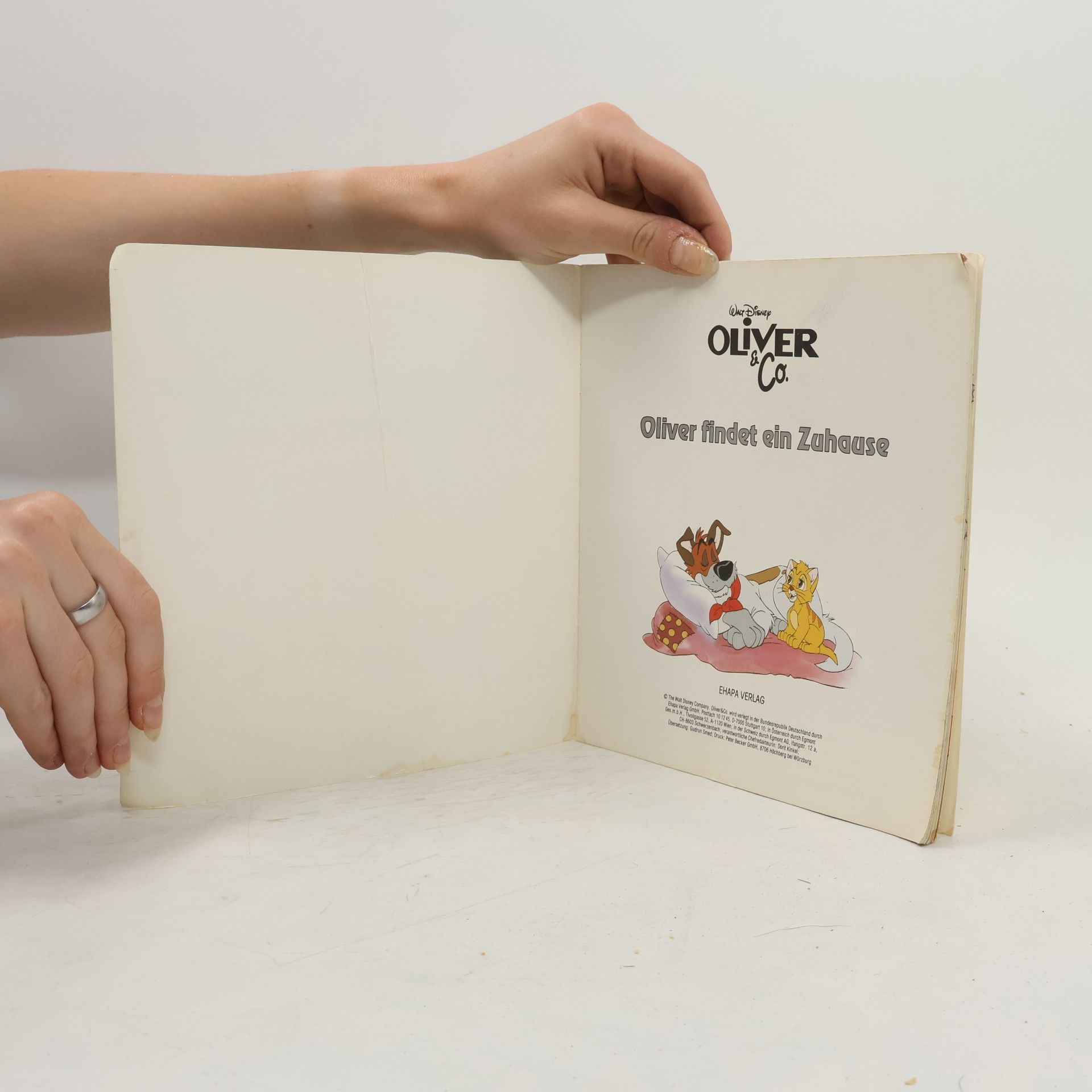 Kolektiv autorů Oliver findet ein Zuhause