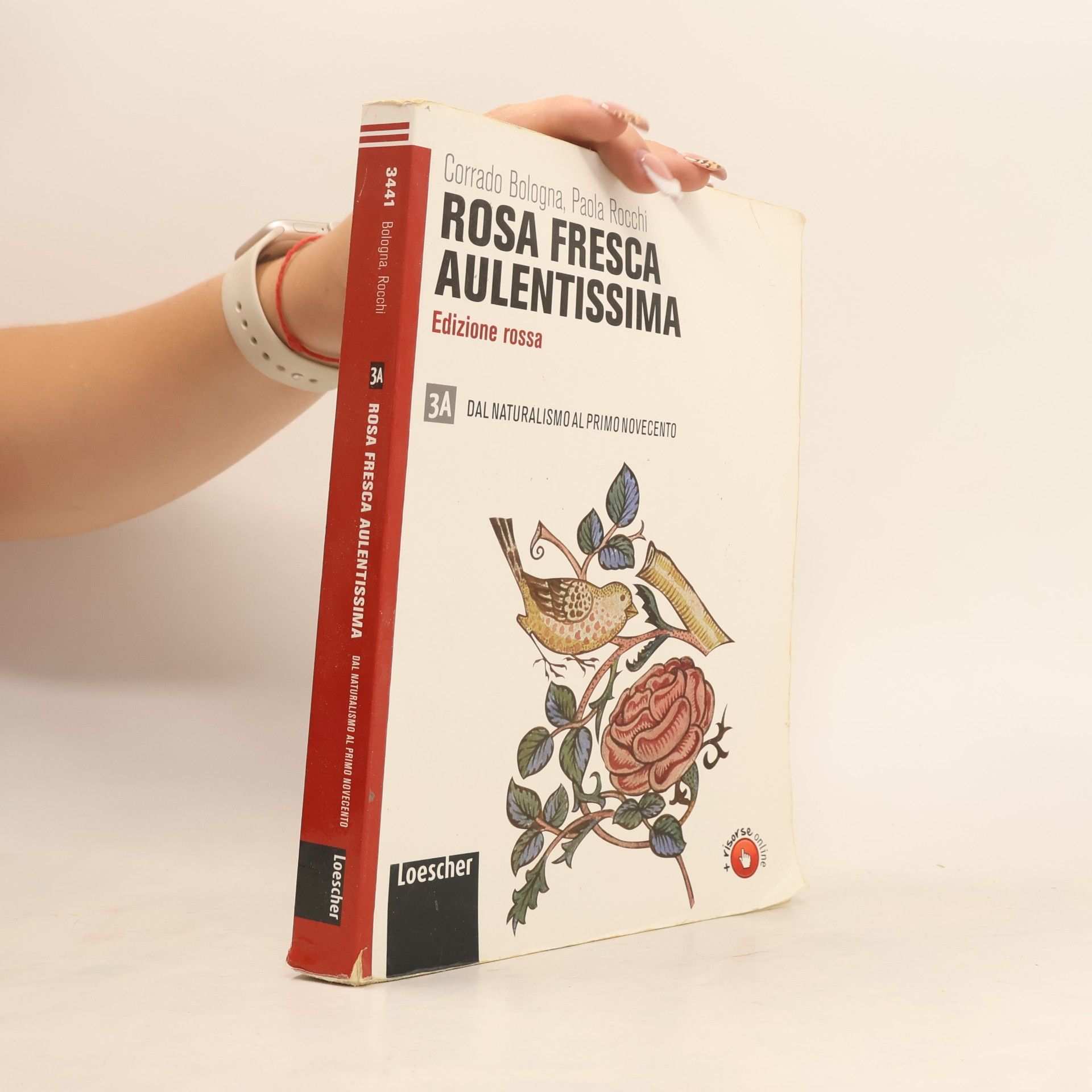 Rosa fresca aulentissima 3A