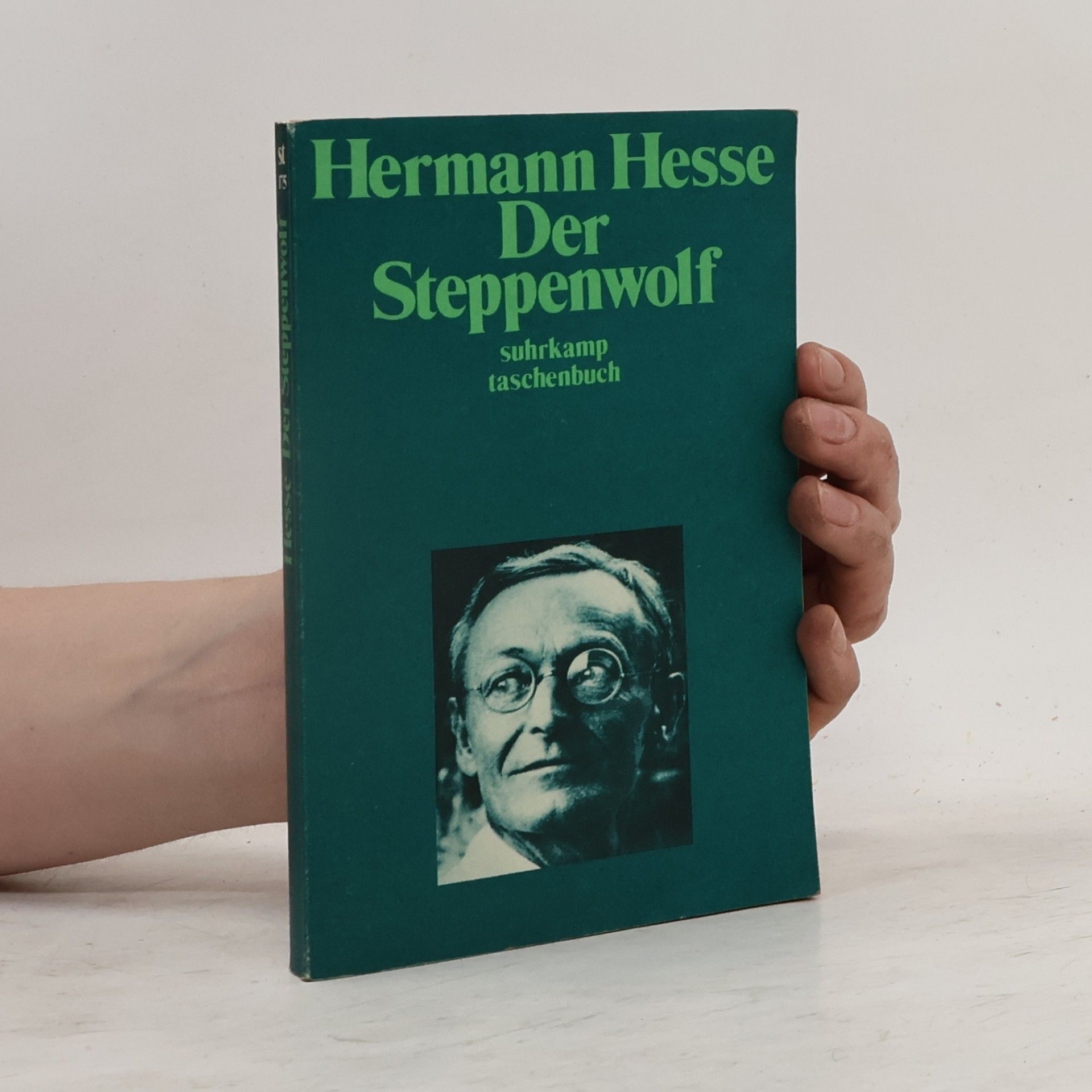 Hermann Hesse Der Steppenwolf