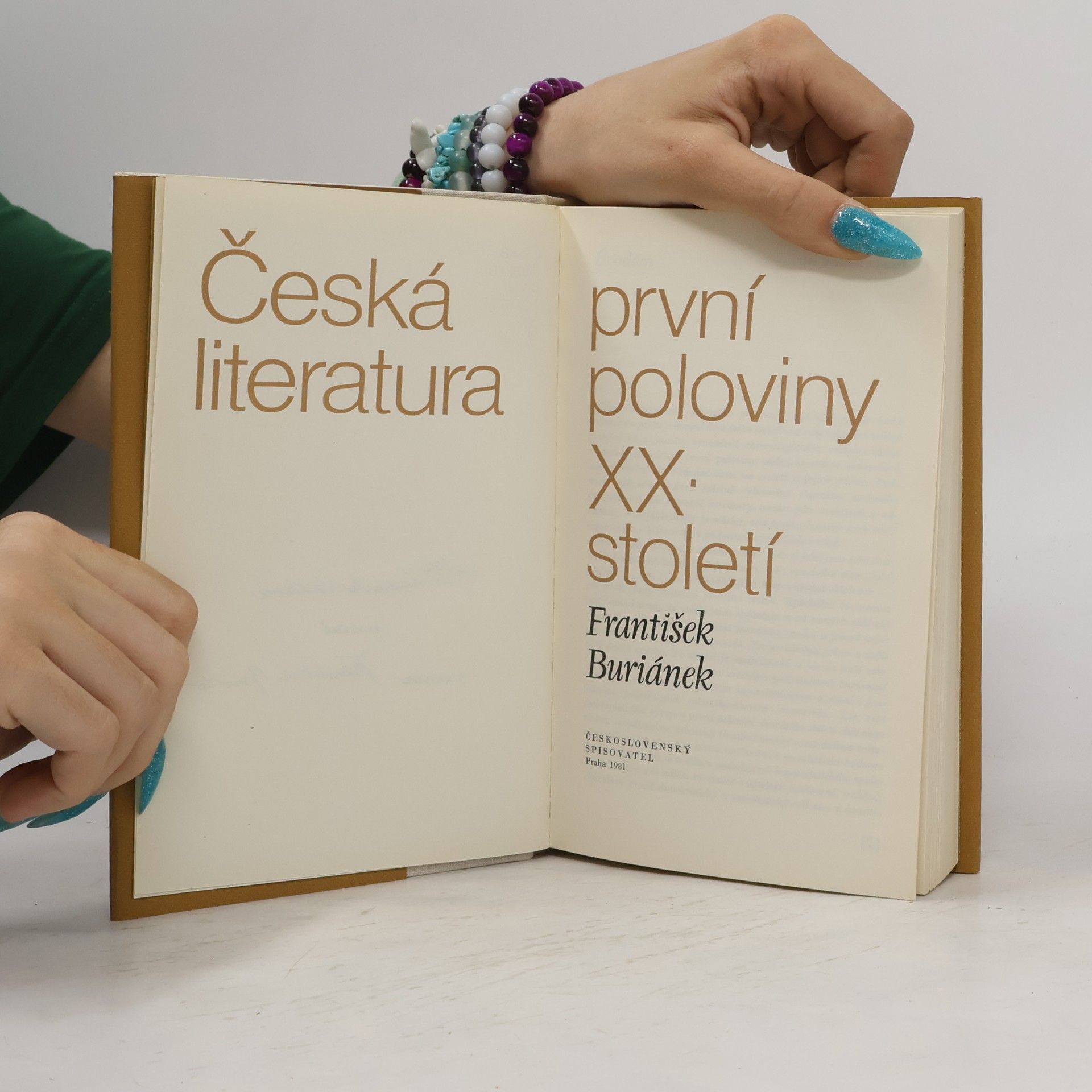 František Buriánek Česká literatura první poloviny XX. století