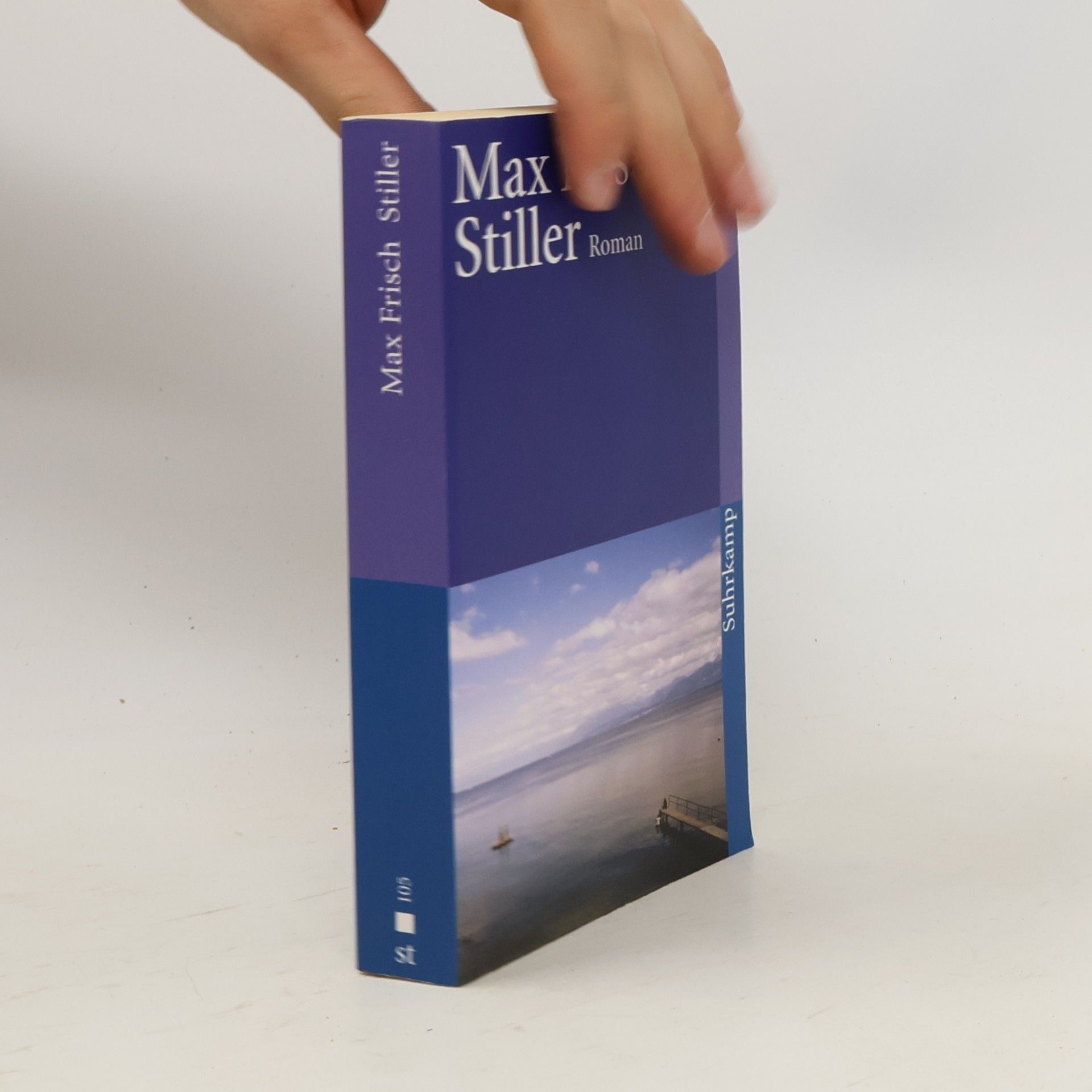 Max Frisch Stiller