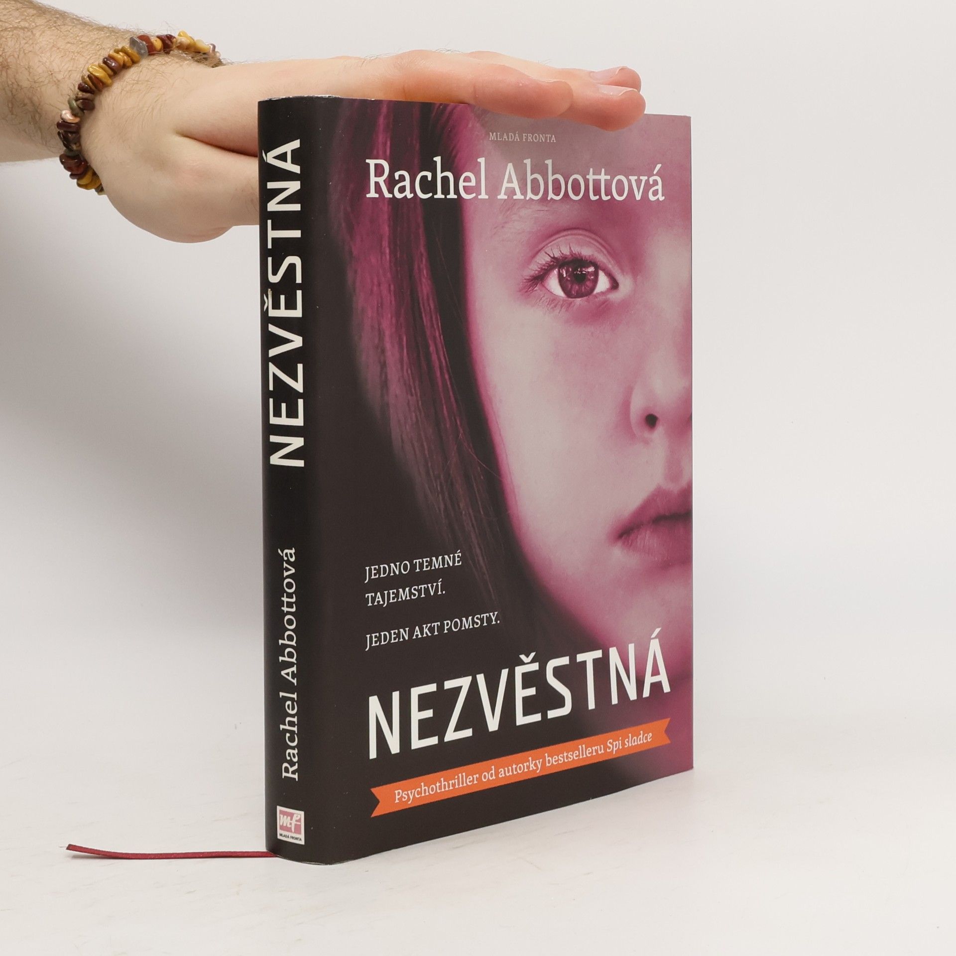 Rachel Abbott Nezvěstná
