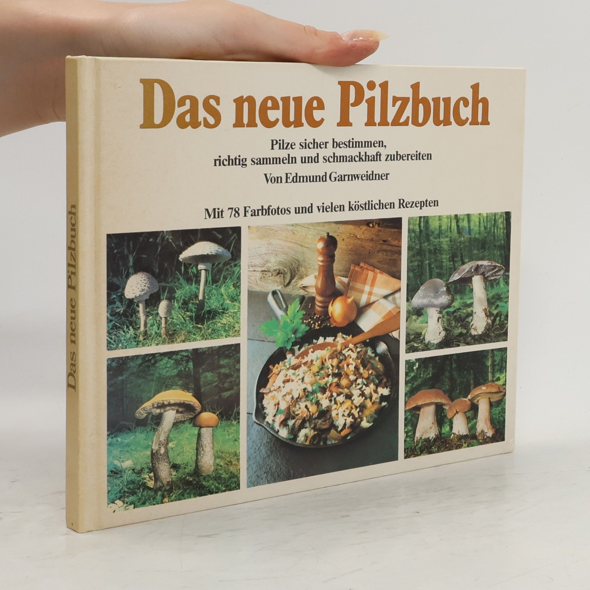 Autorenkollektiv Das neue Pilzbuch