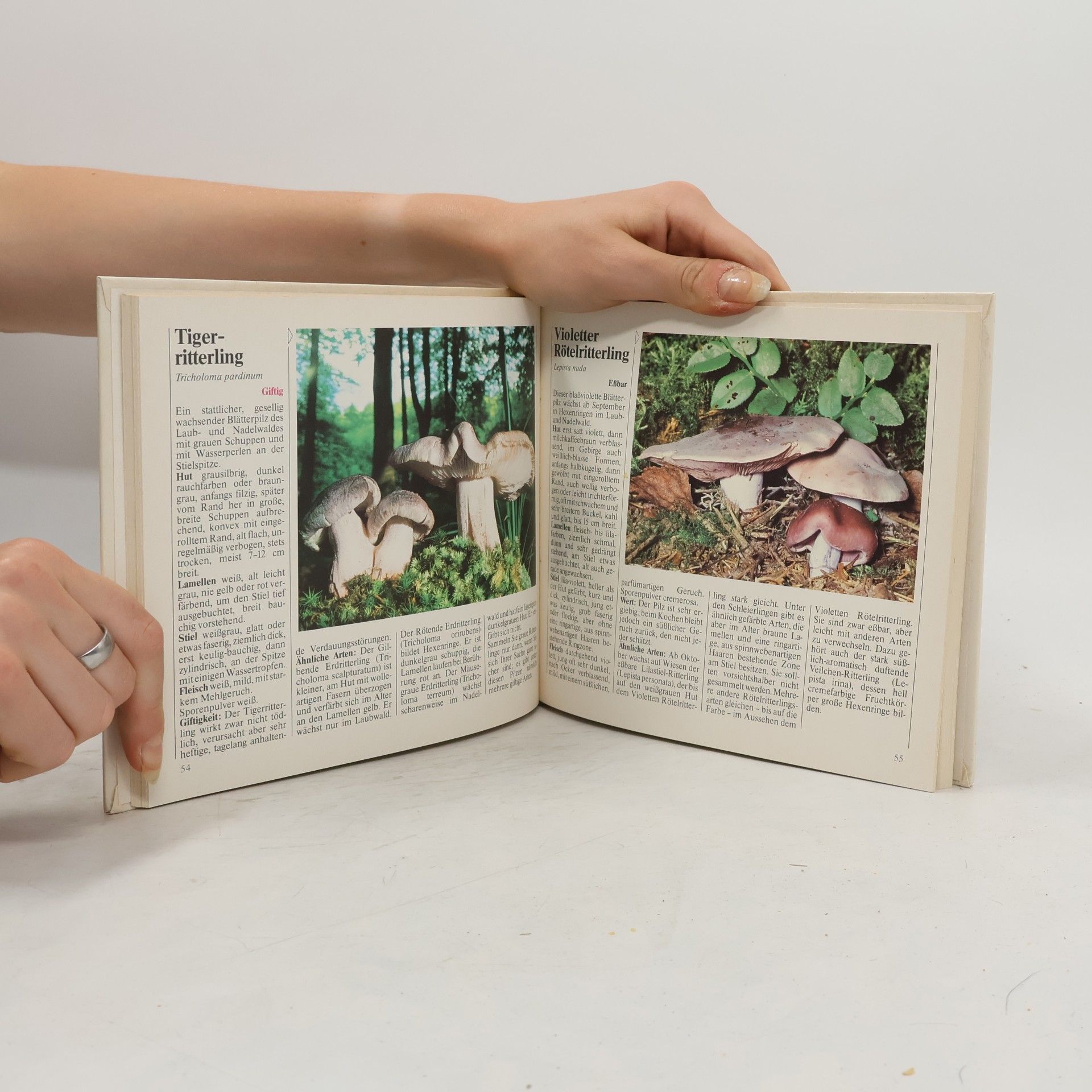 Autorenkollektiv Das neue Pilzbuch