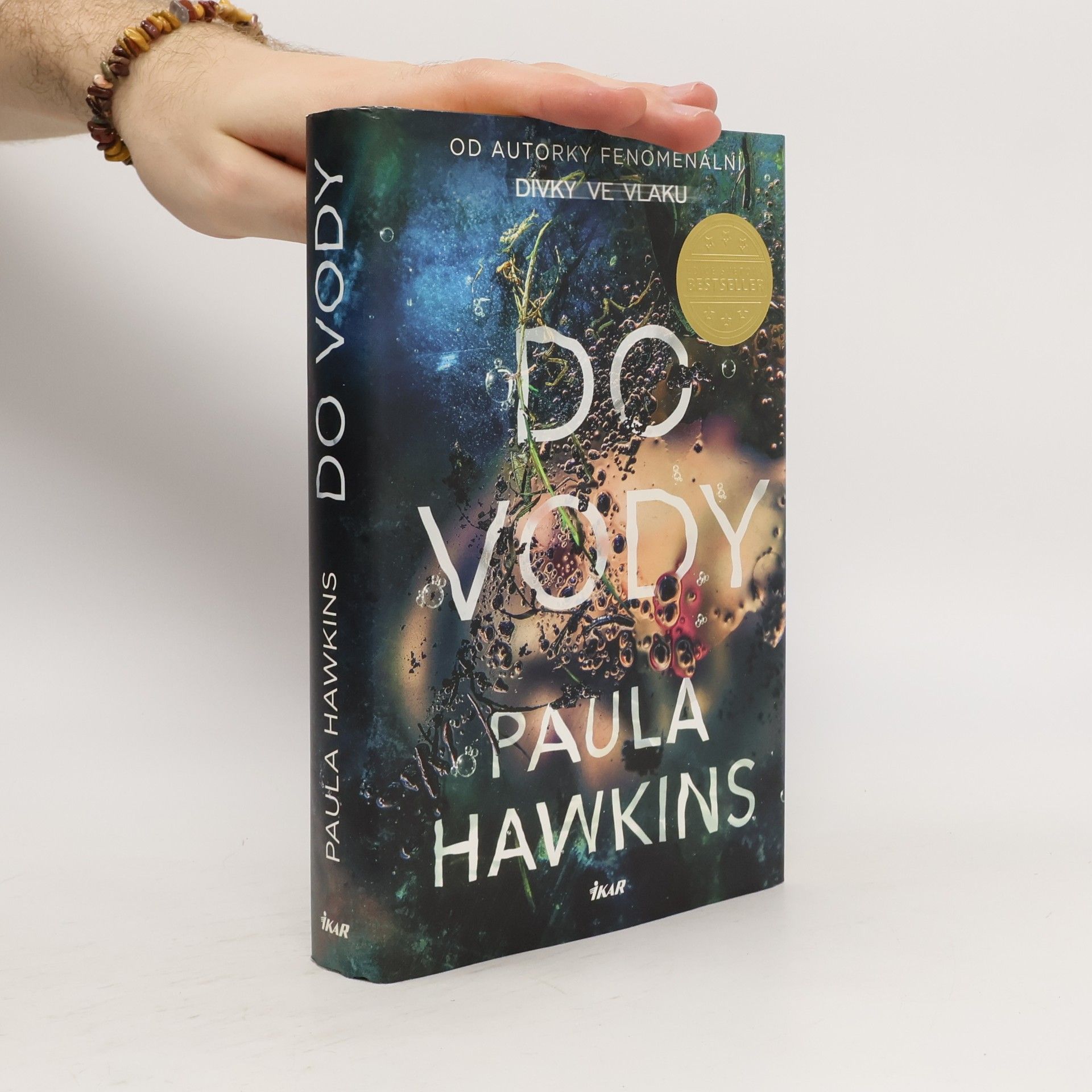 Paula Hawkins Do vody