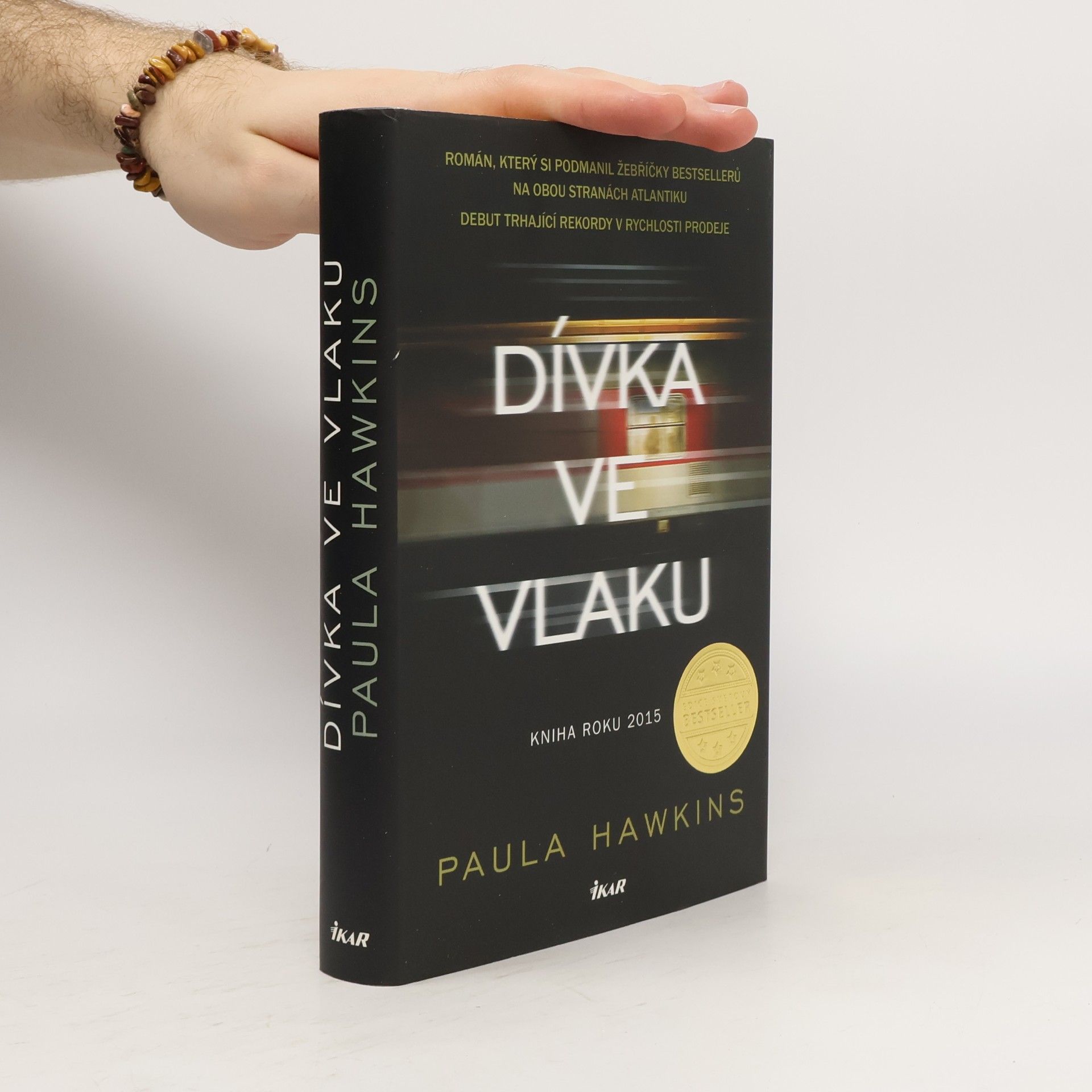 Dívka ve vlaku