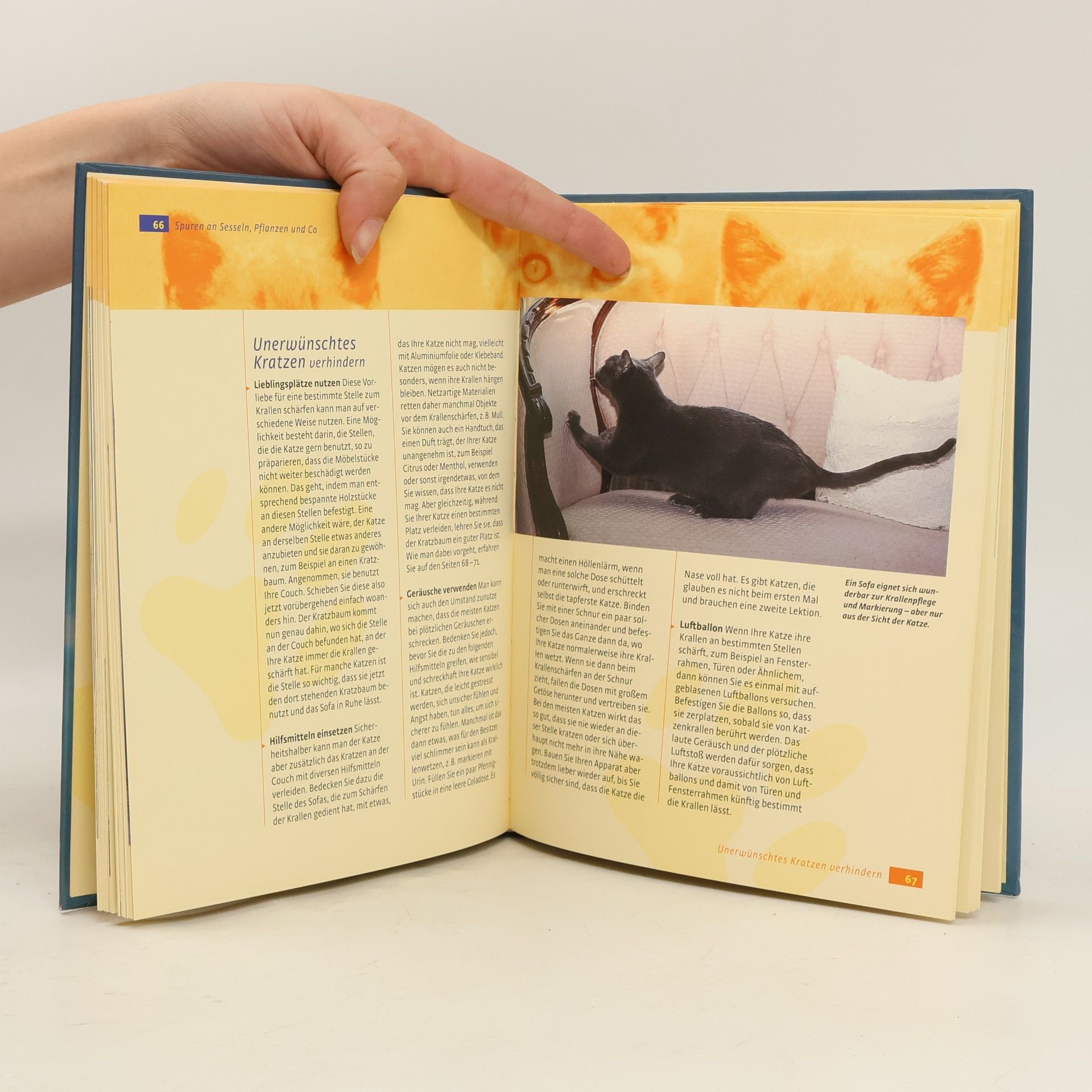 Gwen Bohnenkamp Was Katzen wirklich brauchen