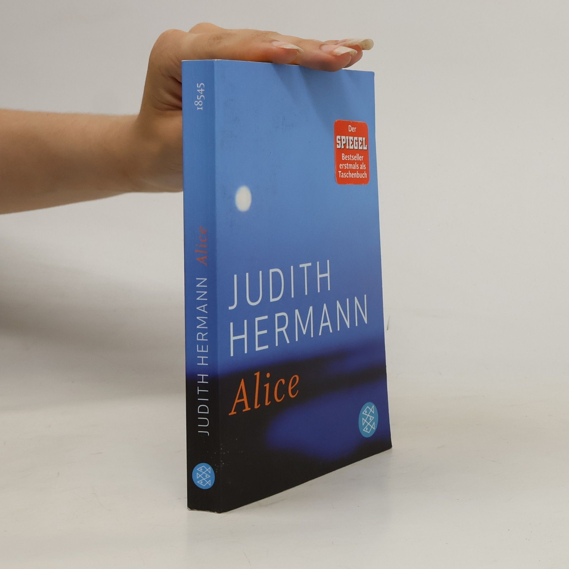 Judith Hermann Alice