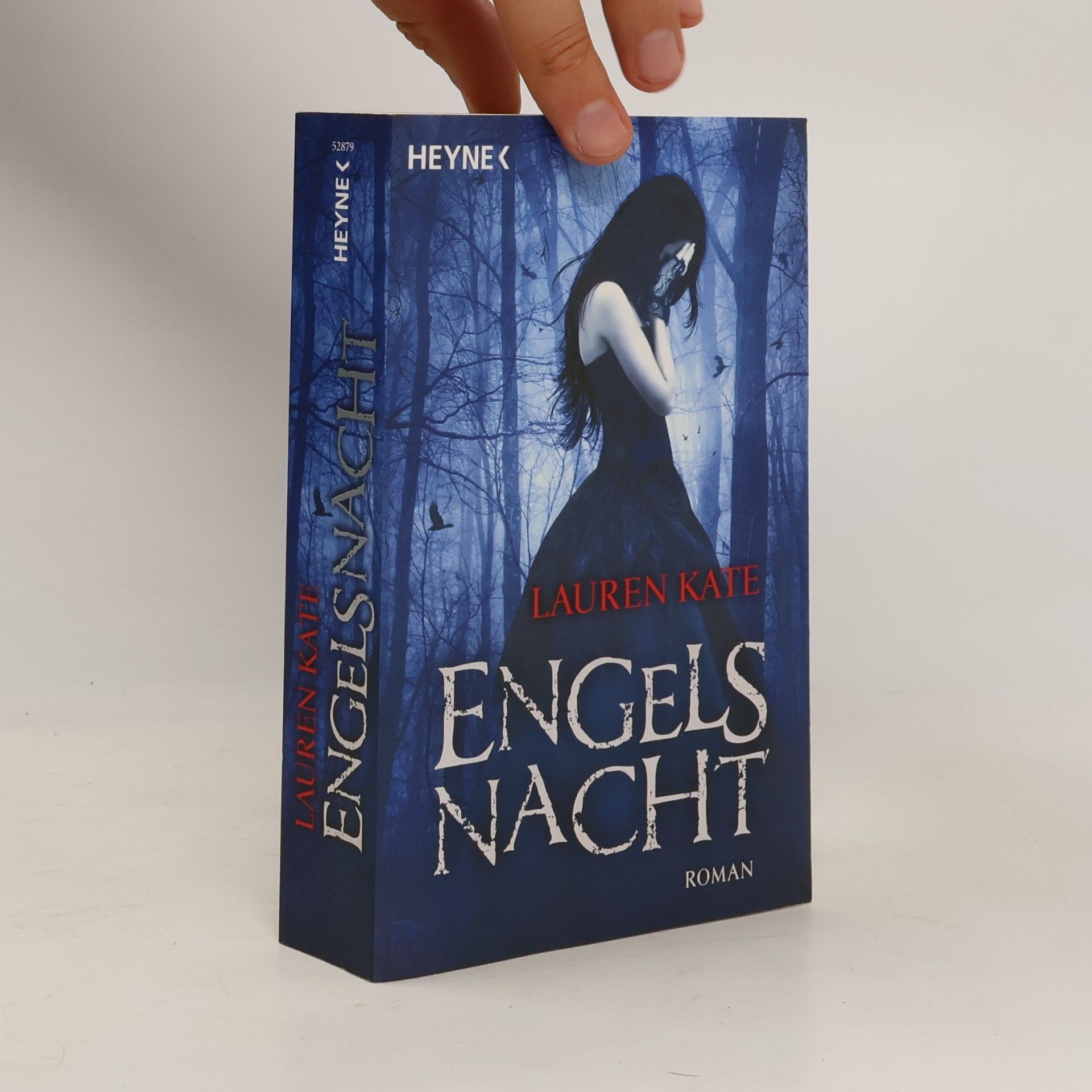 Lauren Kate Engels Nacht