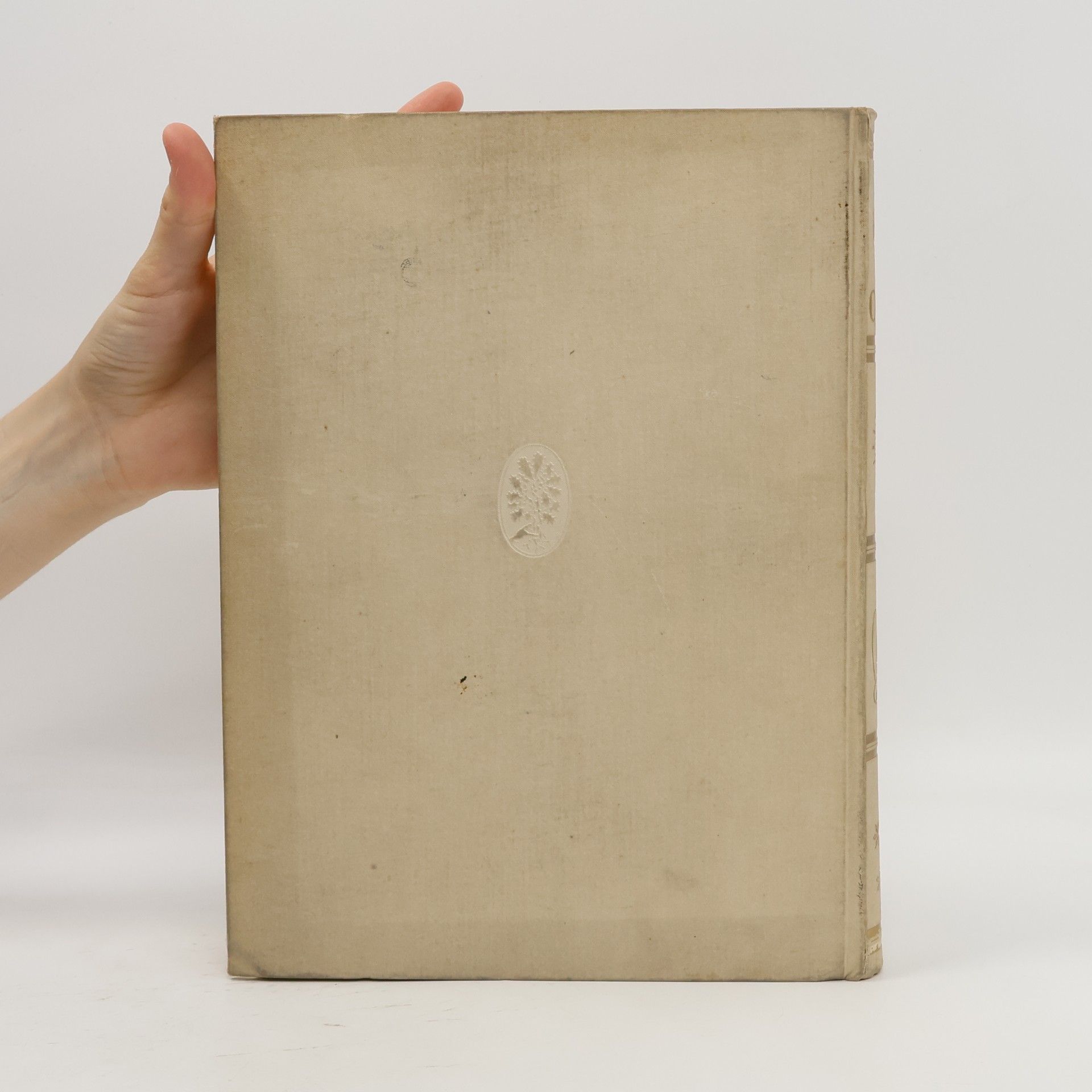 Maximilian Kern Das Licht des Ostens