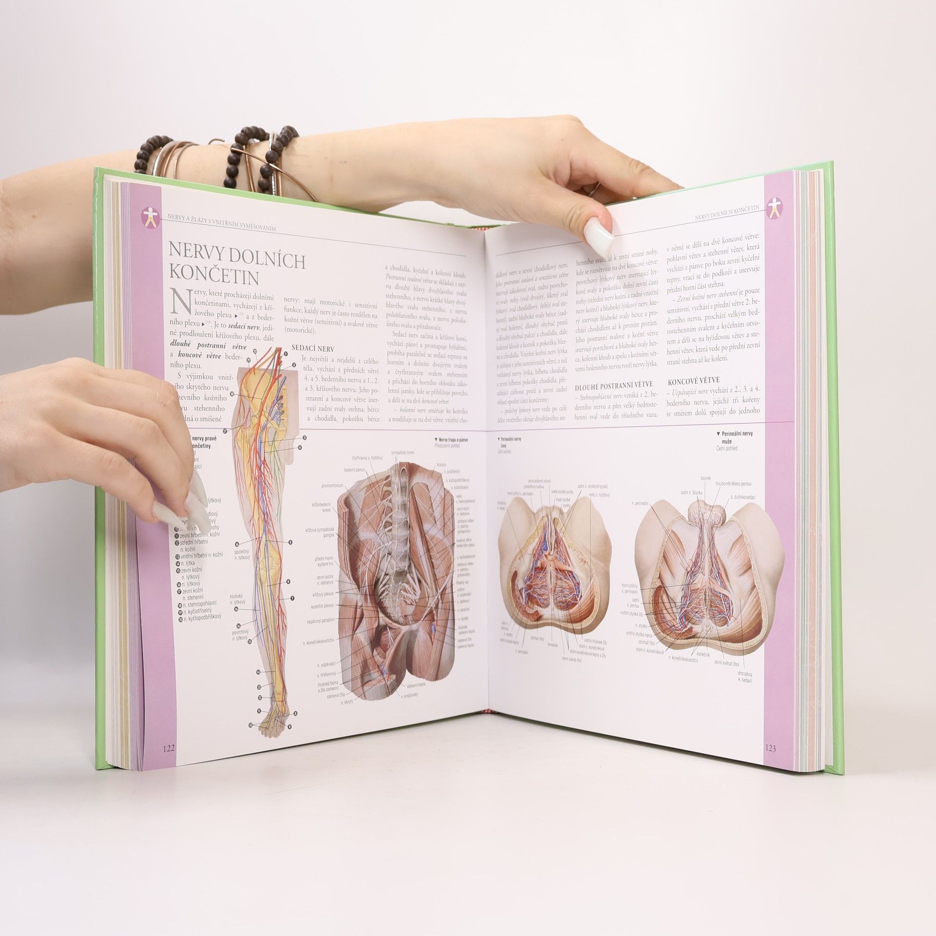 Adriana Rigutti Ilustrovaný atlas anatomie