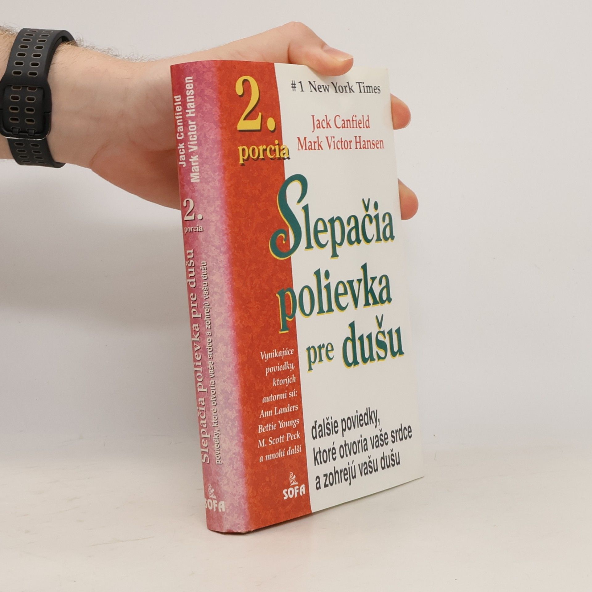 Jack Canfield Slepačia polievka pre dušu - 2. porcia