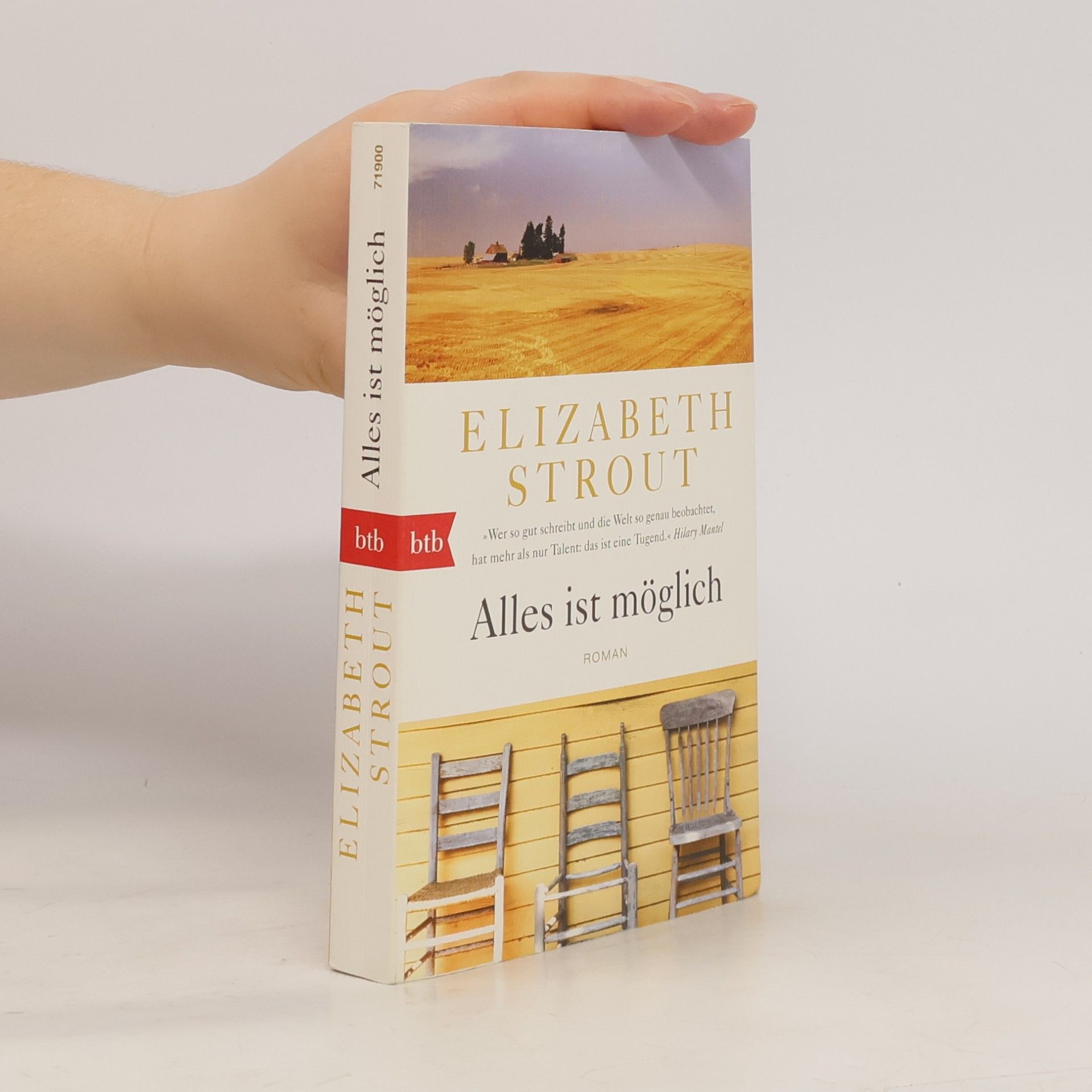 Elizabeth Strout Alles ist möglich