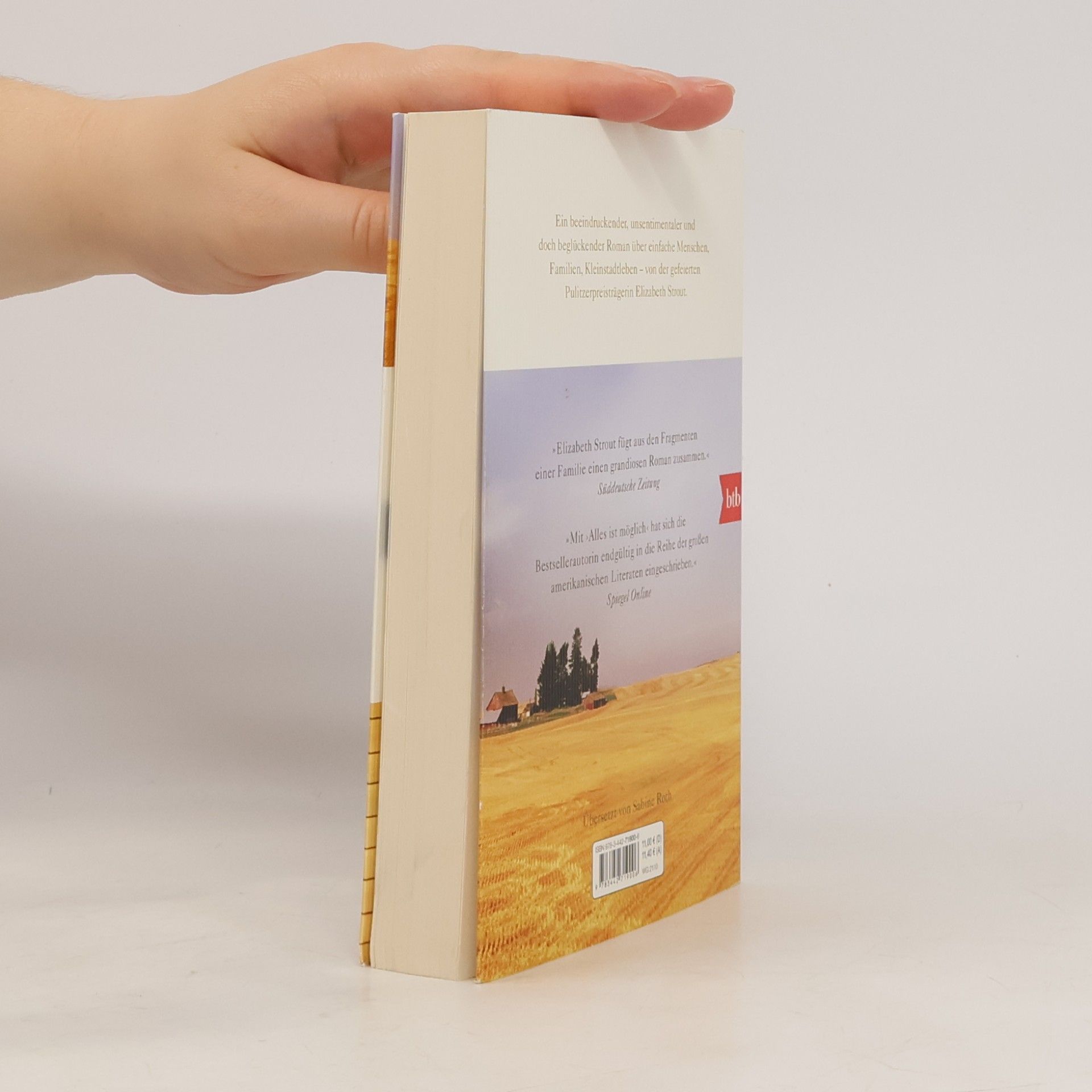 Elizabeth Strout Alles ist möglich