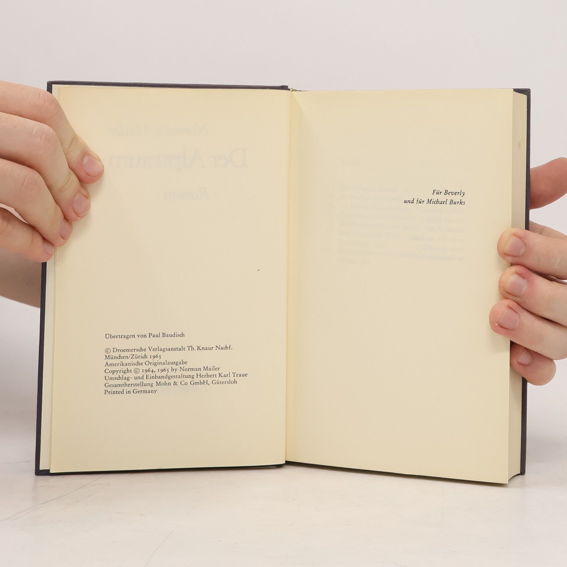 Norman Mailer Der Alptraum