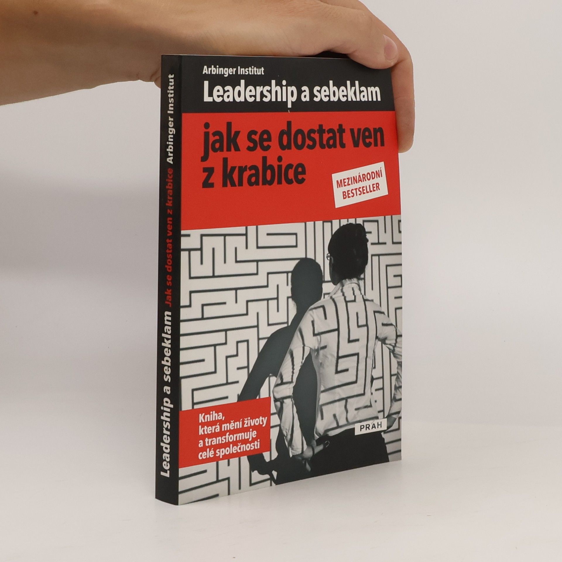 Collectif d'auteurs Leadership a sebeklam. Jak se dostat ven z krabice