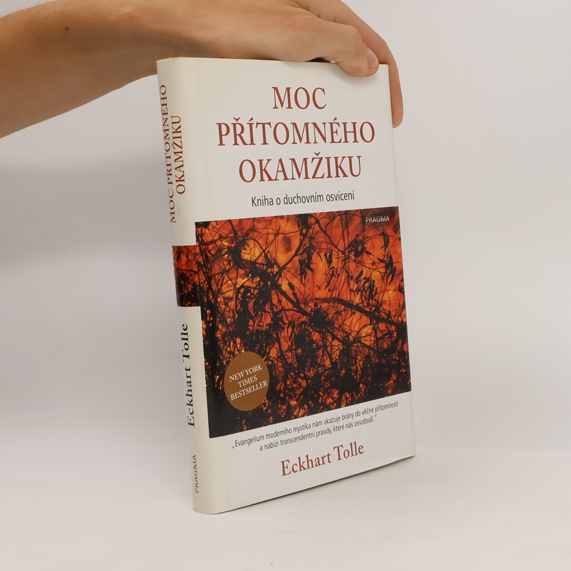 Eckhart Tolle Moc přítomného okamžiku