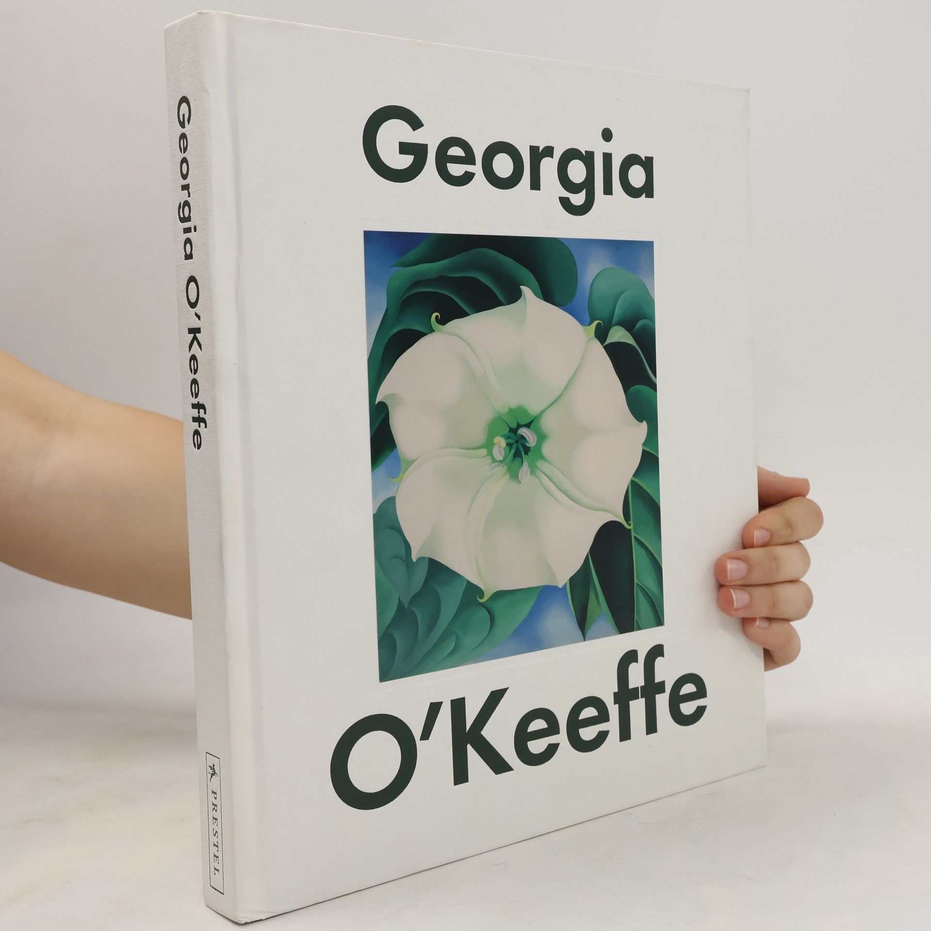 Georgia O’Keeffe Georgia O'Keeffe