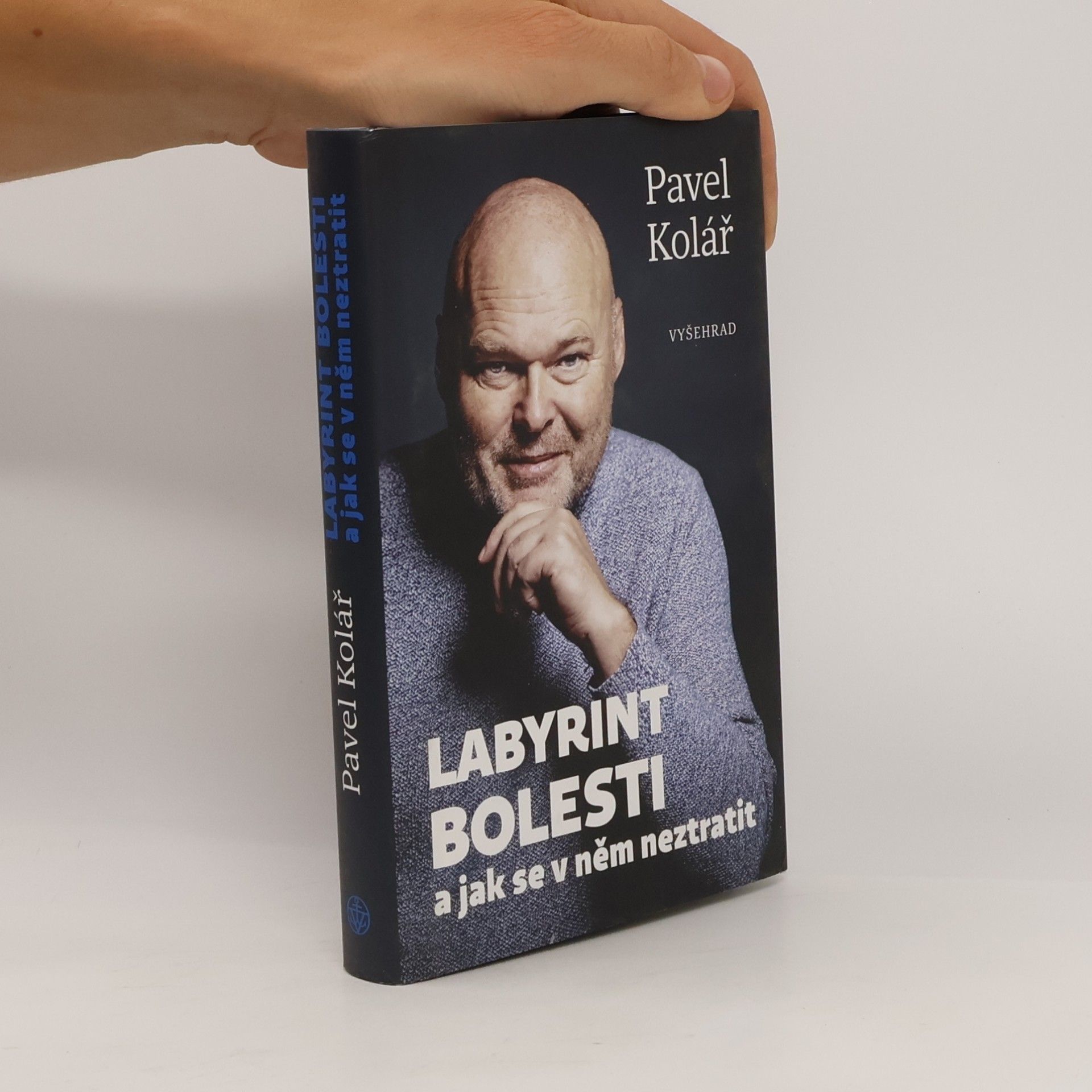 Pavel Kolář Labyrint bolesti a jak se v něm neztratit
