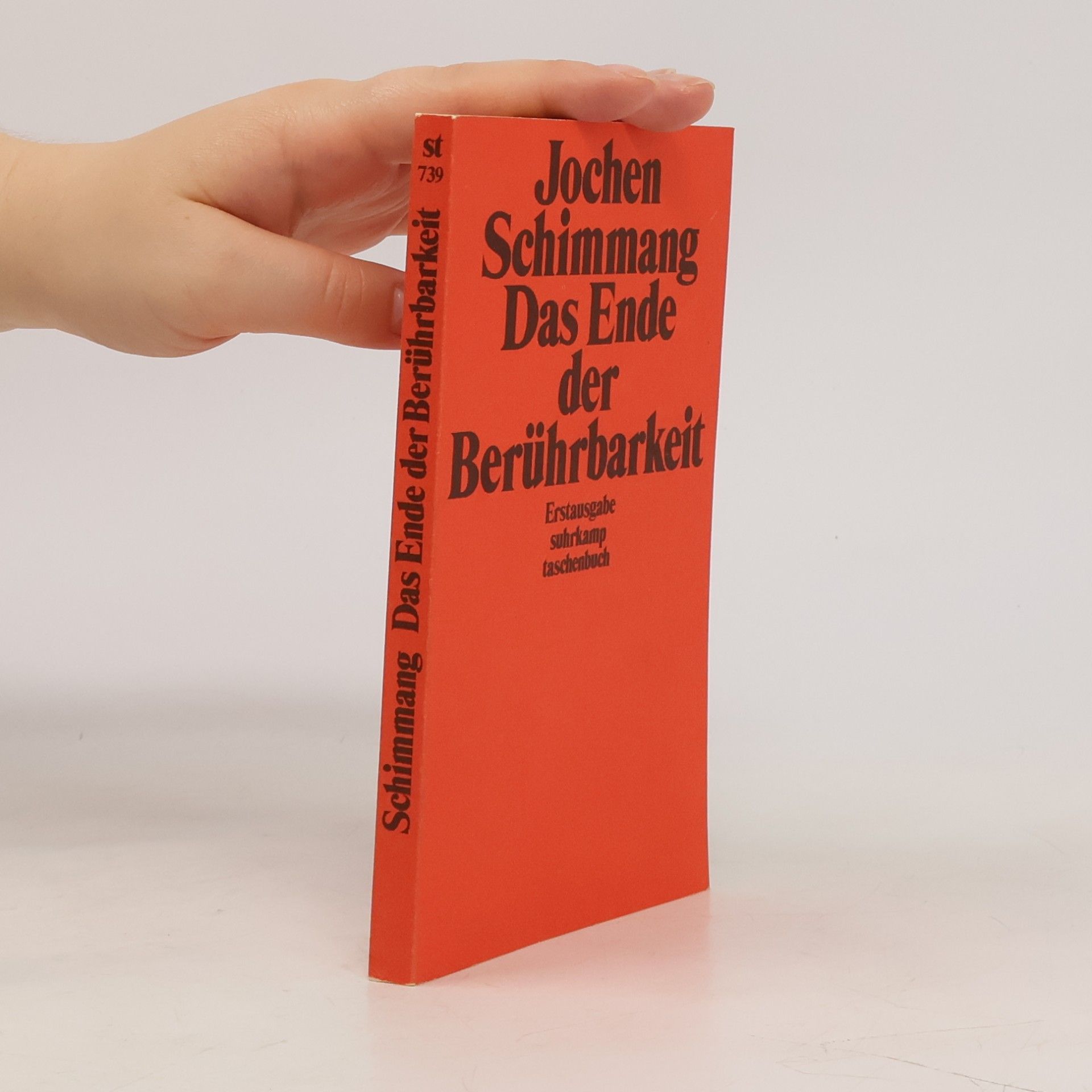 Jochen Schimmang Das Ende der Berührbarkeit