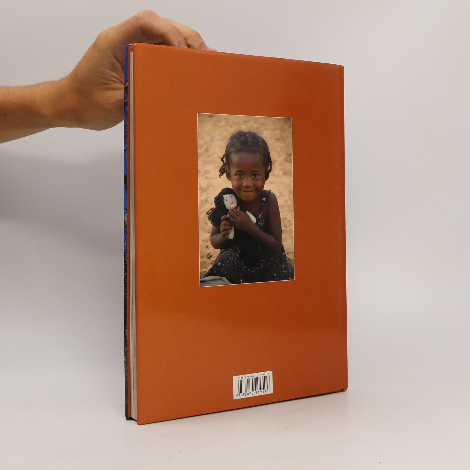Růžena BeandapaKytlová Madagaskar : laboratoř bohů