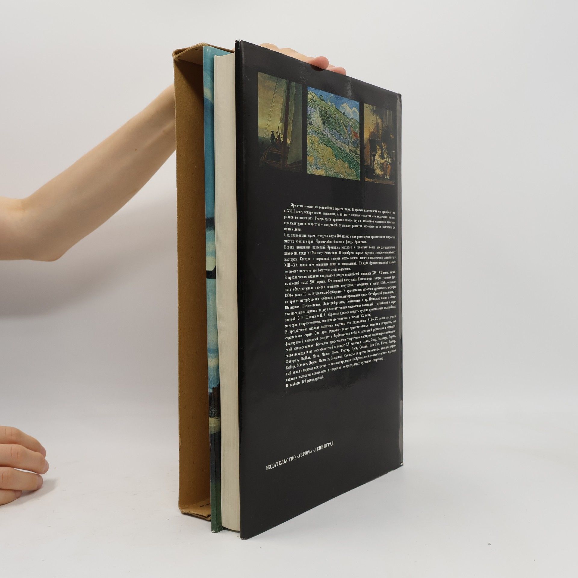Autores varios Эрмитаж. Западноевропейская живопись XIX - XX веков (Ermitazh. Zapadnoyevropeyskaya zhivopis' XIX - XX vekov)