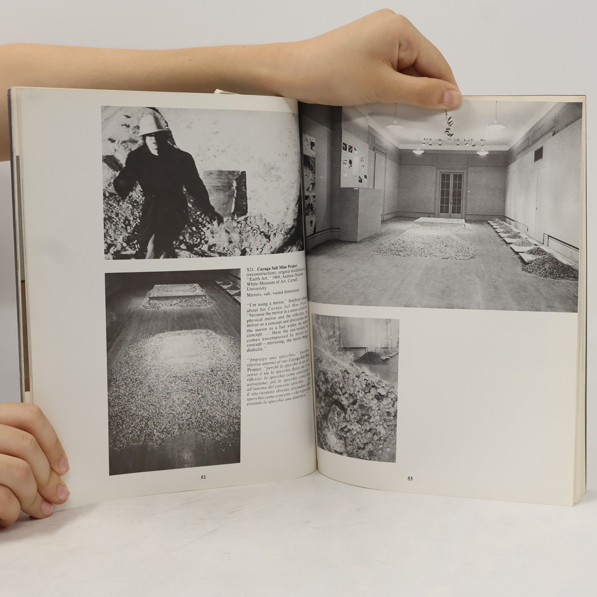 Robert Hobbs Robert Smithson