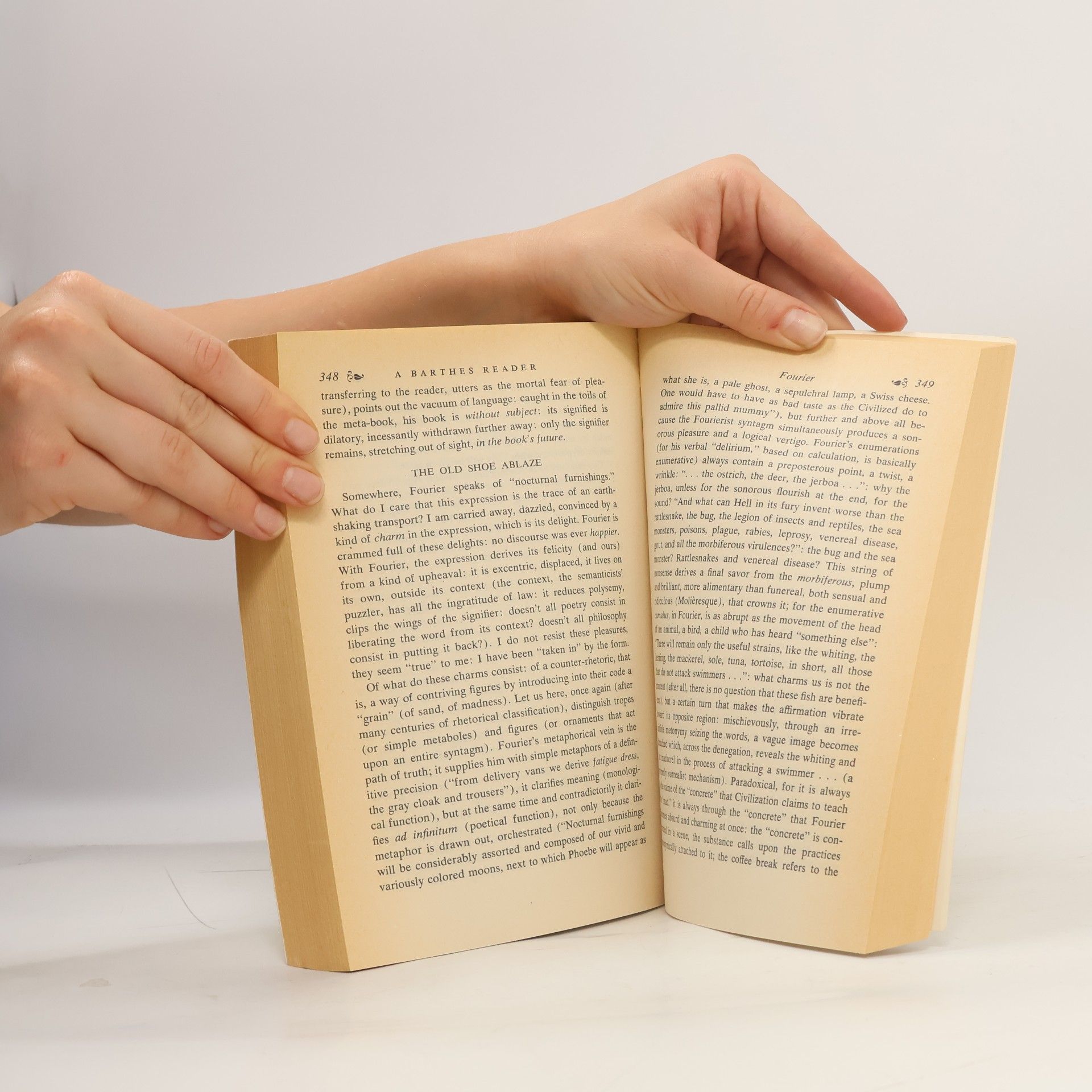 Susan Sontag Barthes. Selected Writings