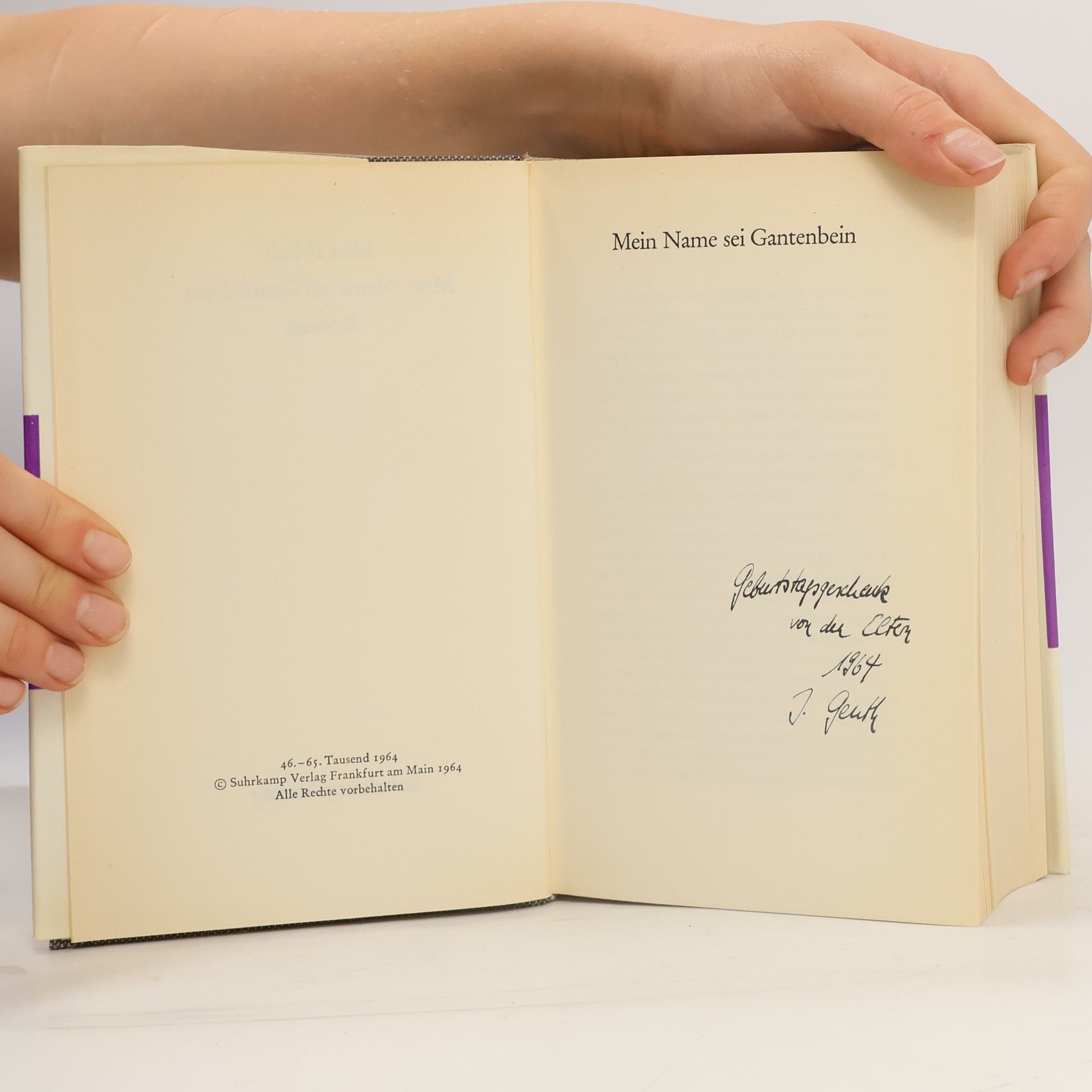 Max Frisch Meine Name sei Gantenbein