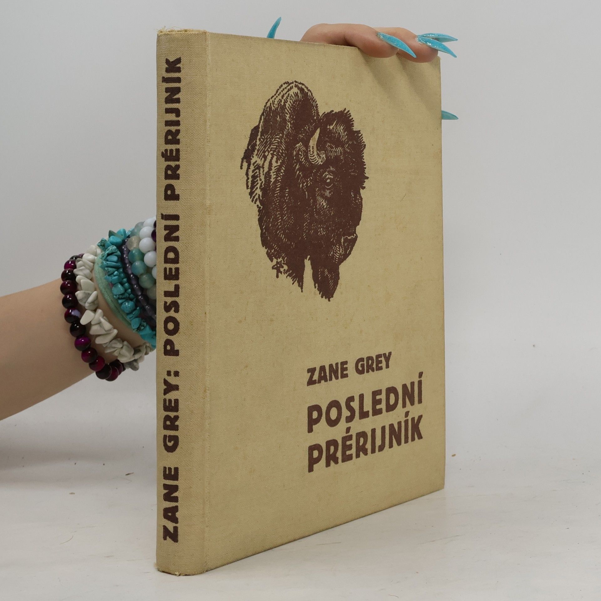 Zane Grey Poslední prérijník