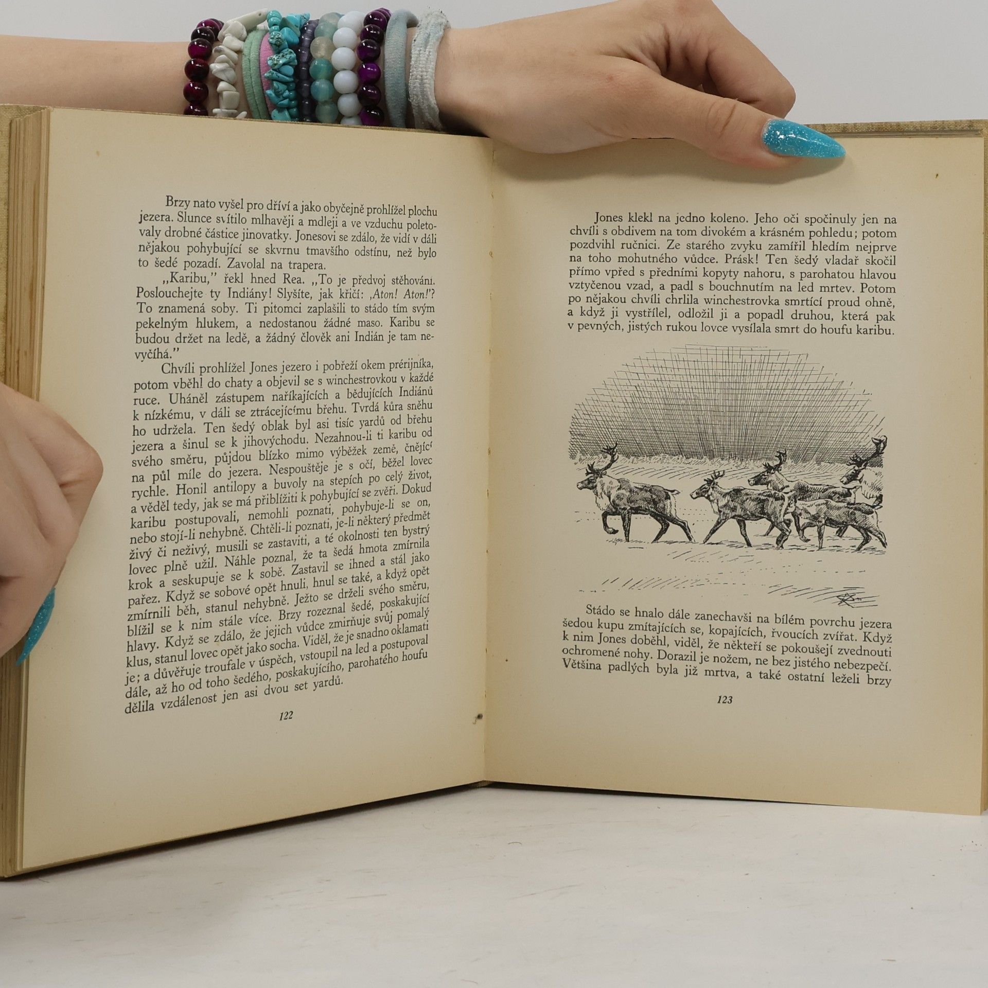 Zane Grey Poslední prérijník