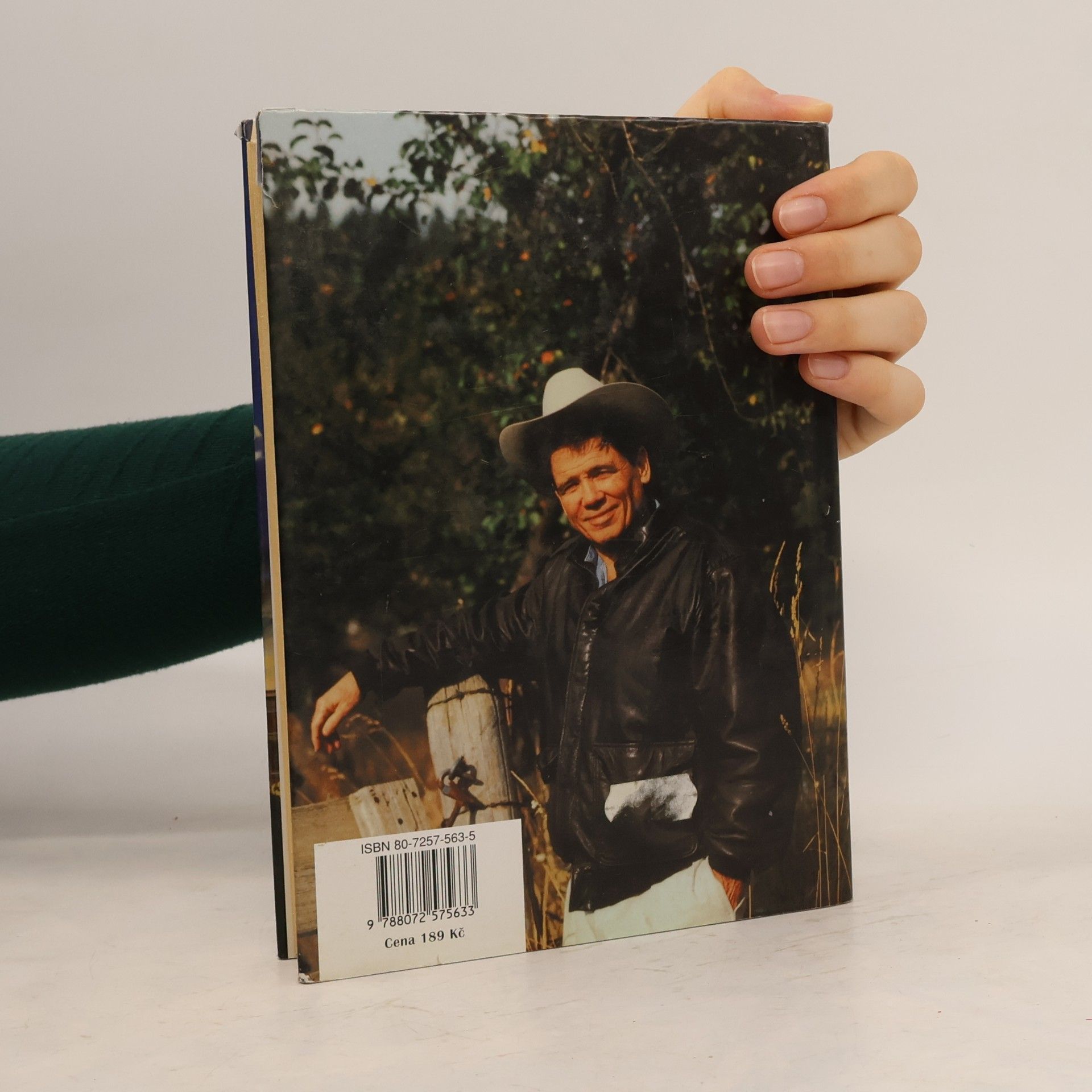 James Lee Burke Krutý pohled
