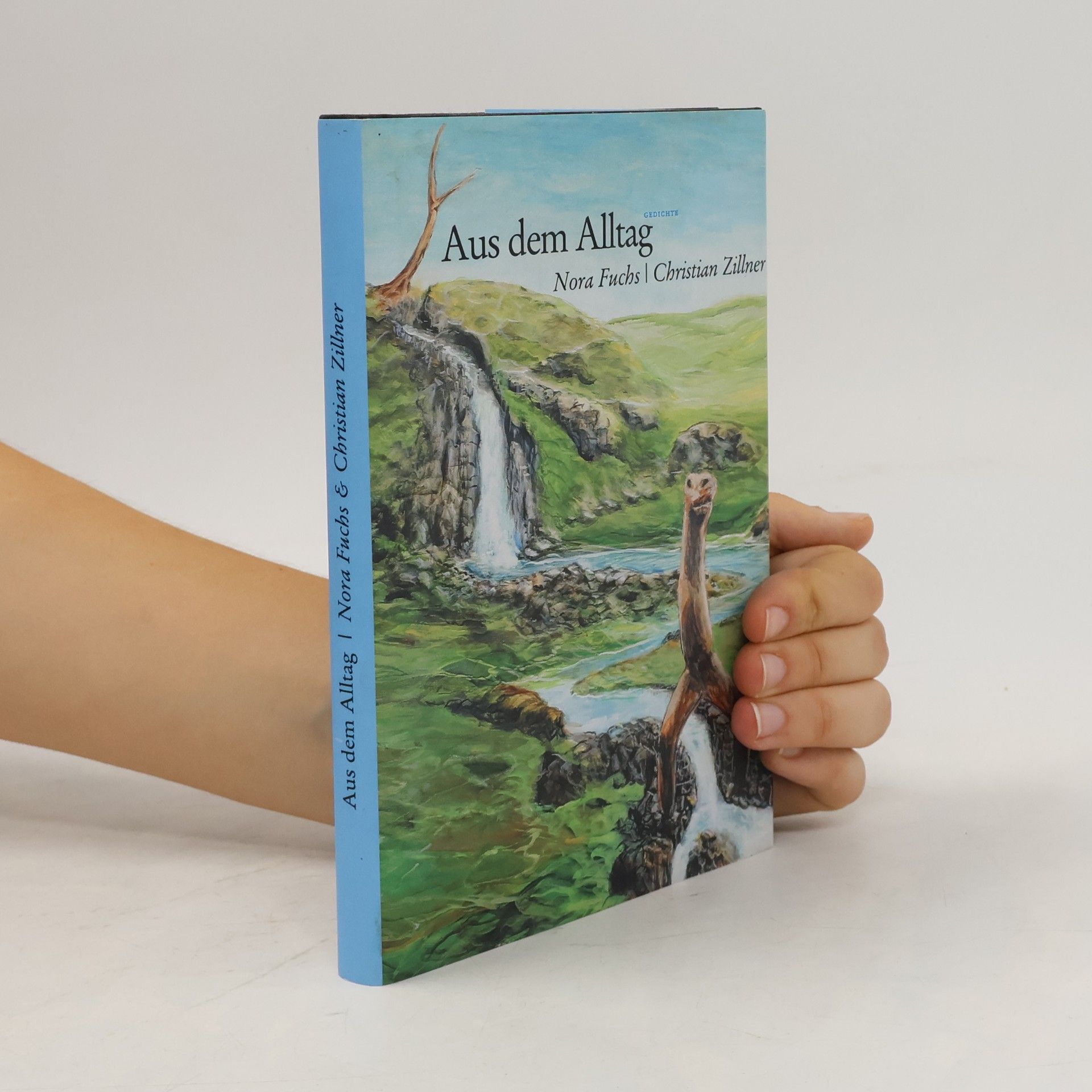 Autorenkollektiv Aus dem Alltag