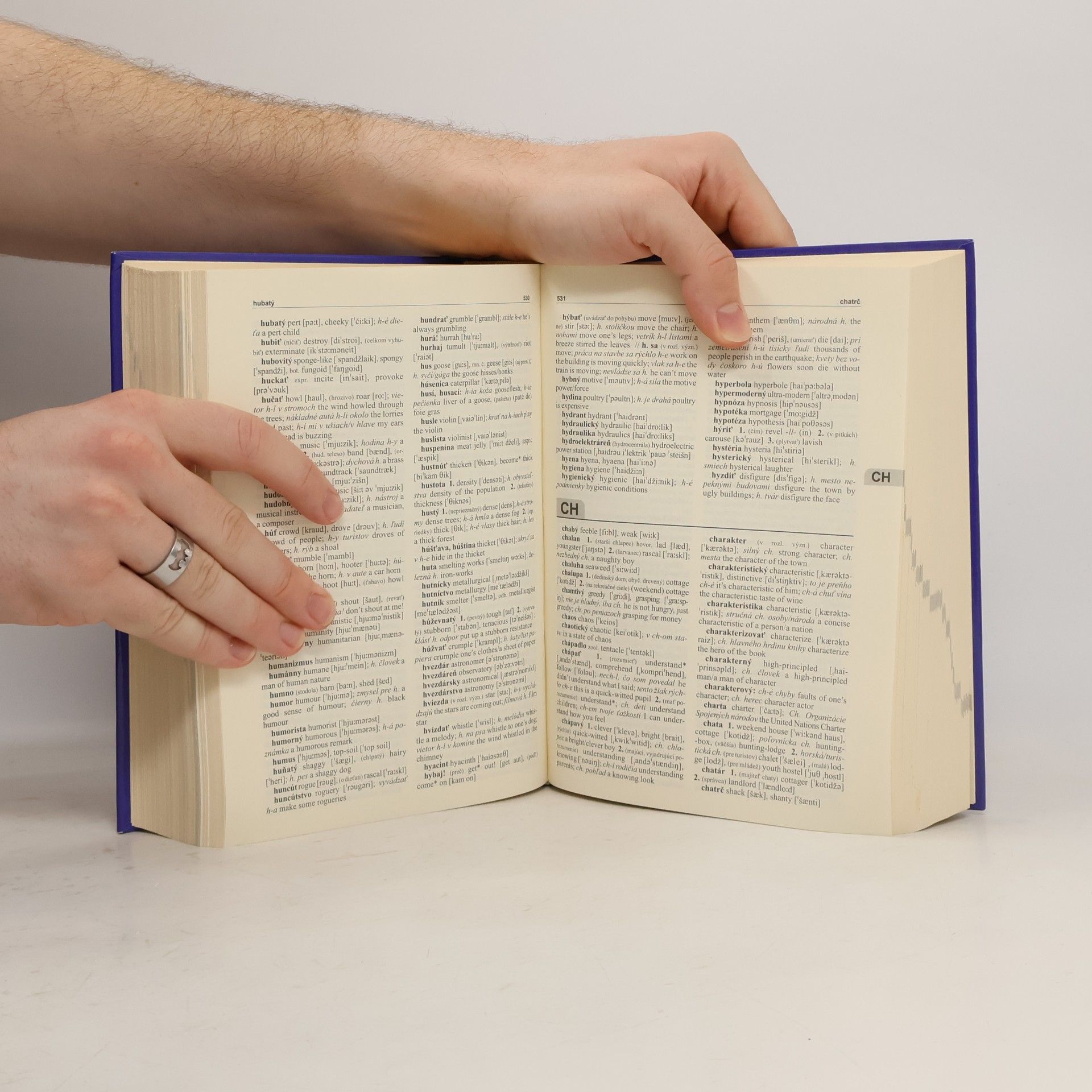 Erna Haraksimová Anglicko-slovenský, slovensko-anglický slovník. Dictionary English-Slovak, Slovak-English