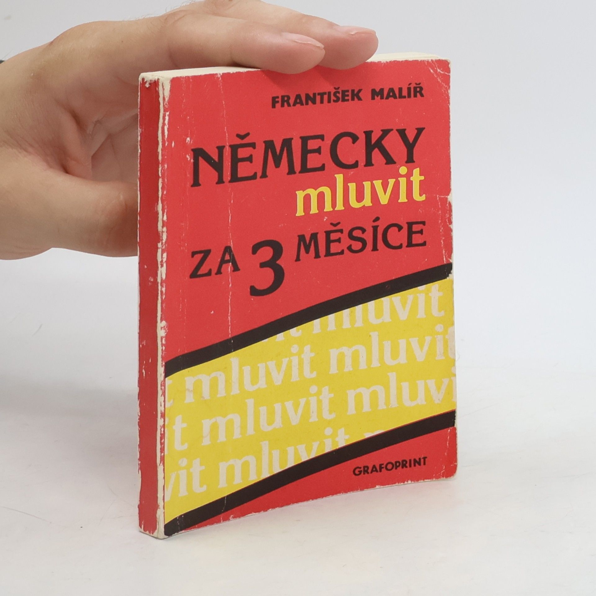 František Malíř Německy mluvit za 3 měsíce
