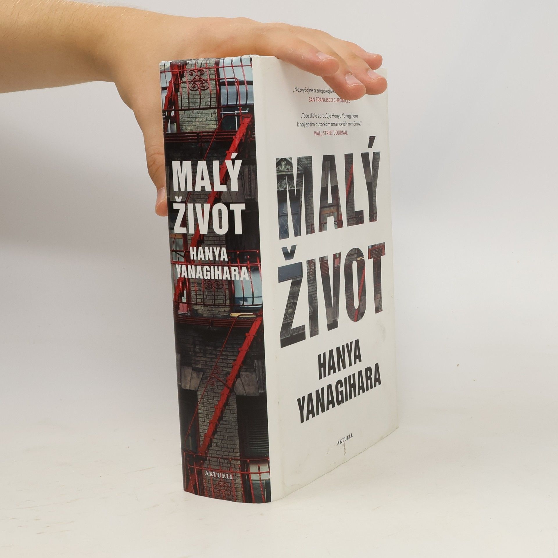 Hanya Yanagihara Malý život