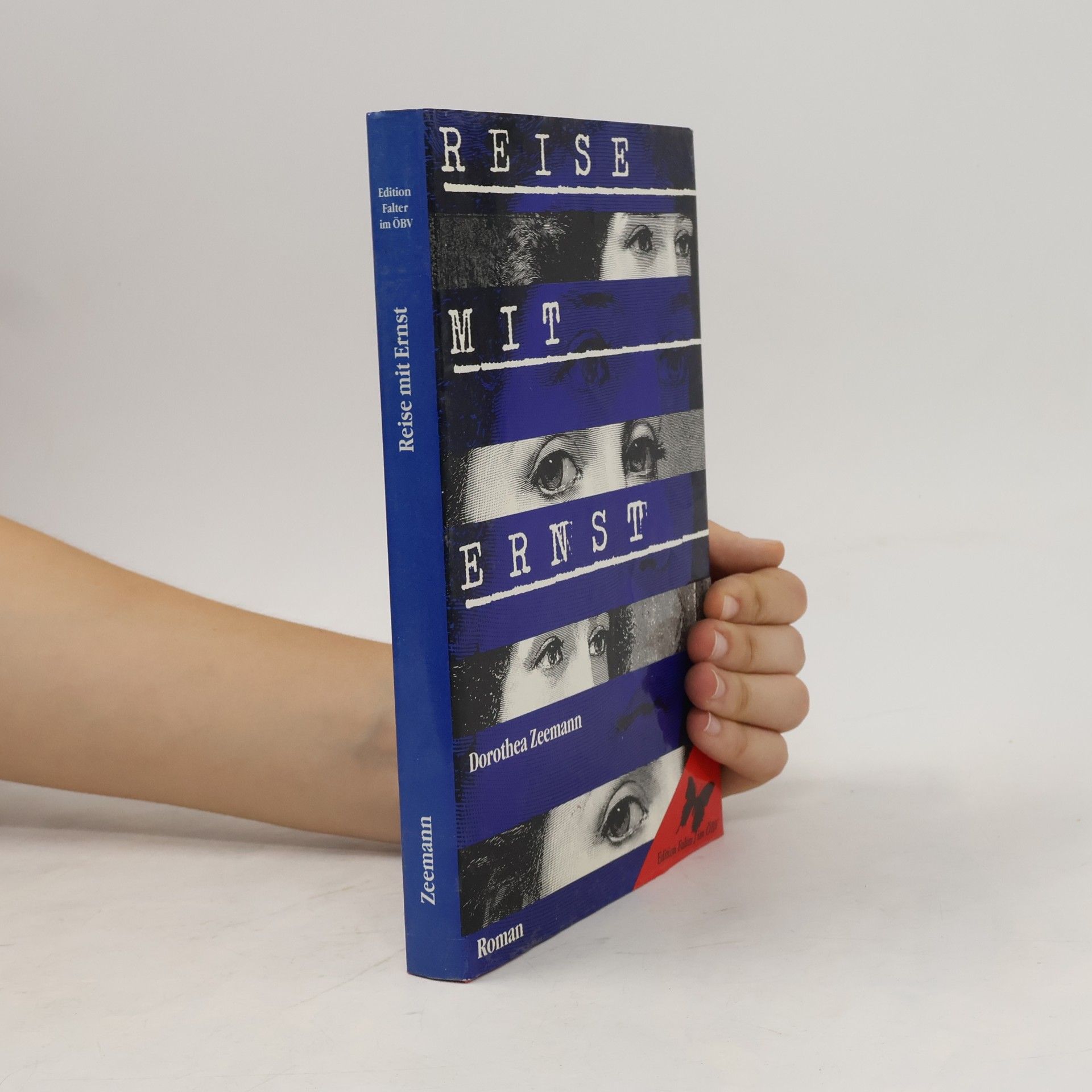Dorothea Zeemann Reise mit Ernst : Roman